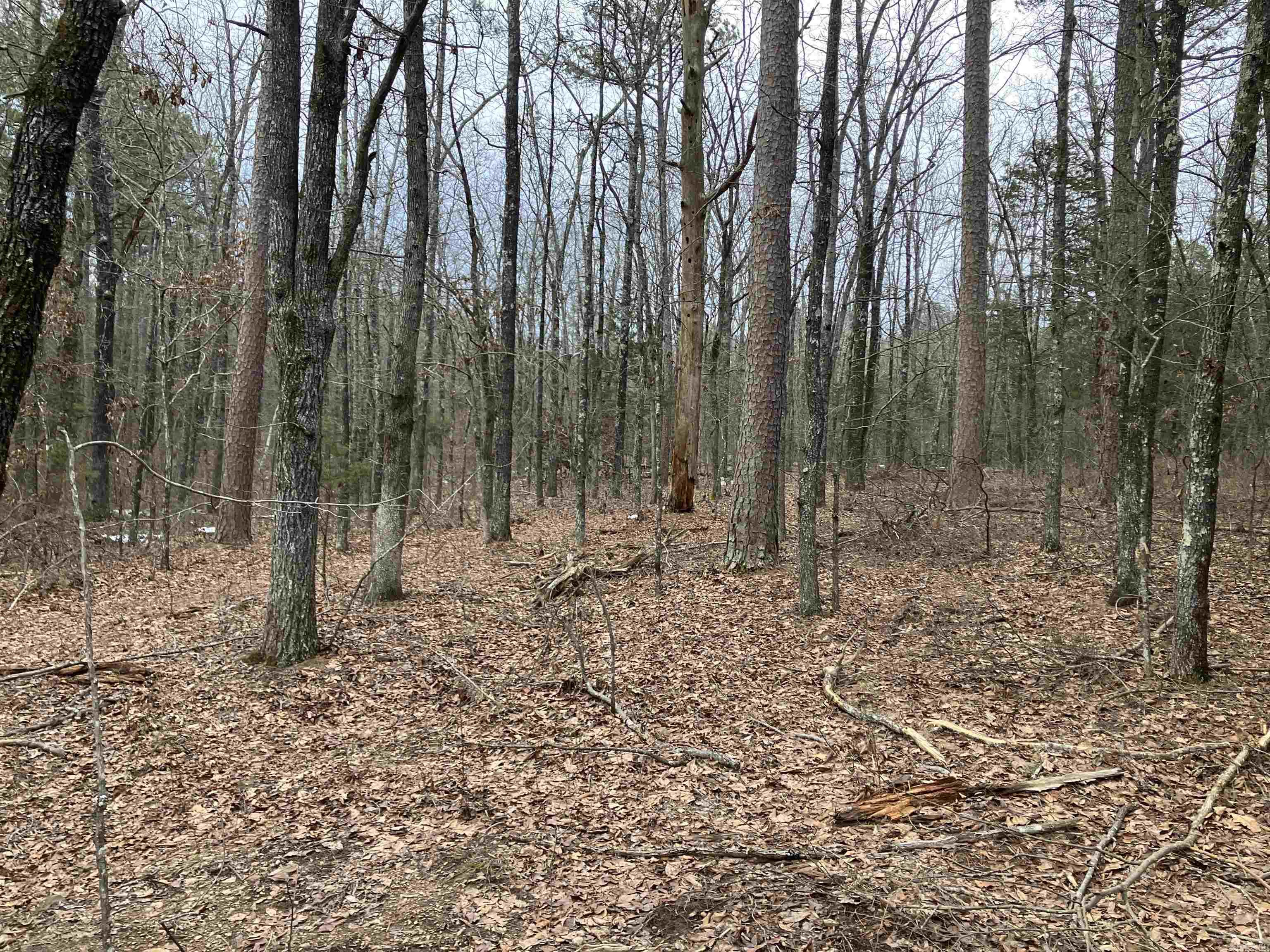 618  Keystone Rd  Shirley, AR