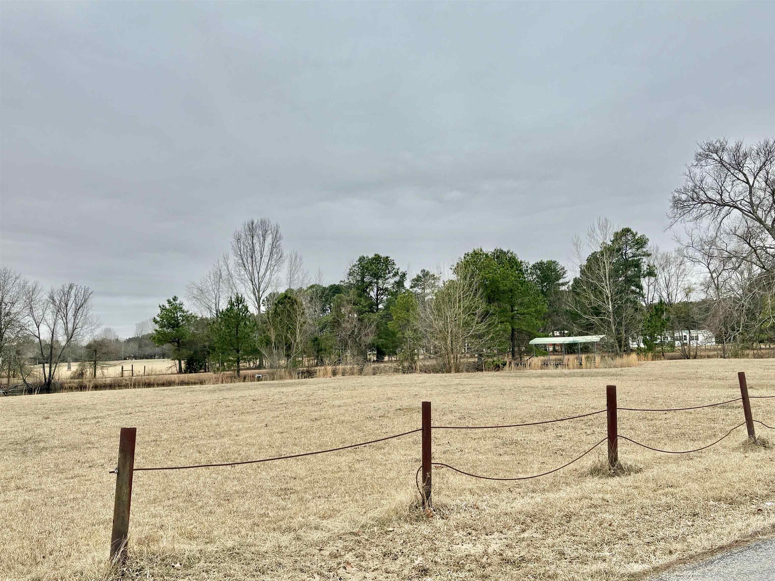2566  Grant 45  Prattsville, AR