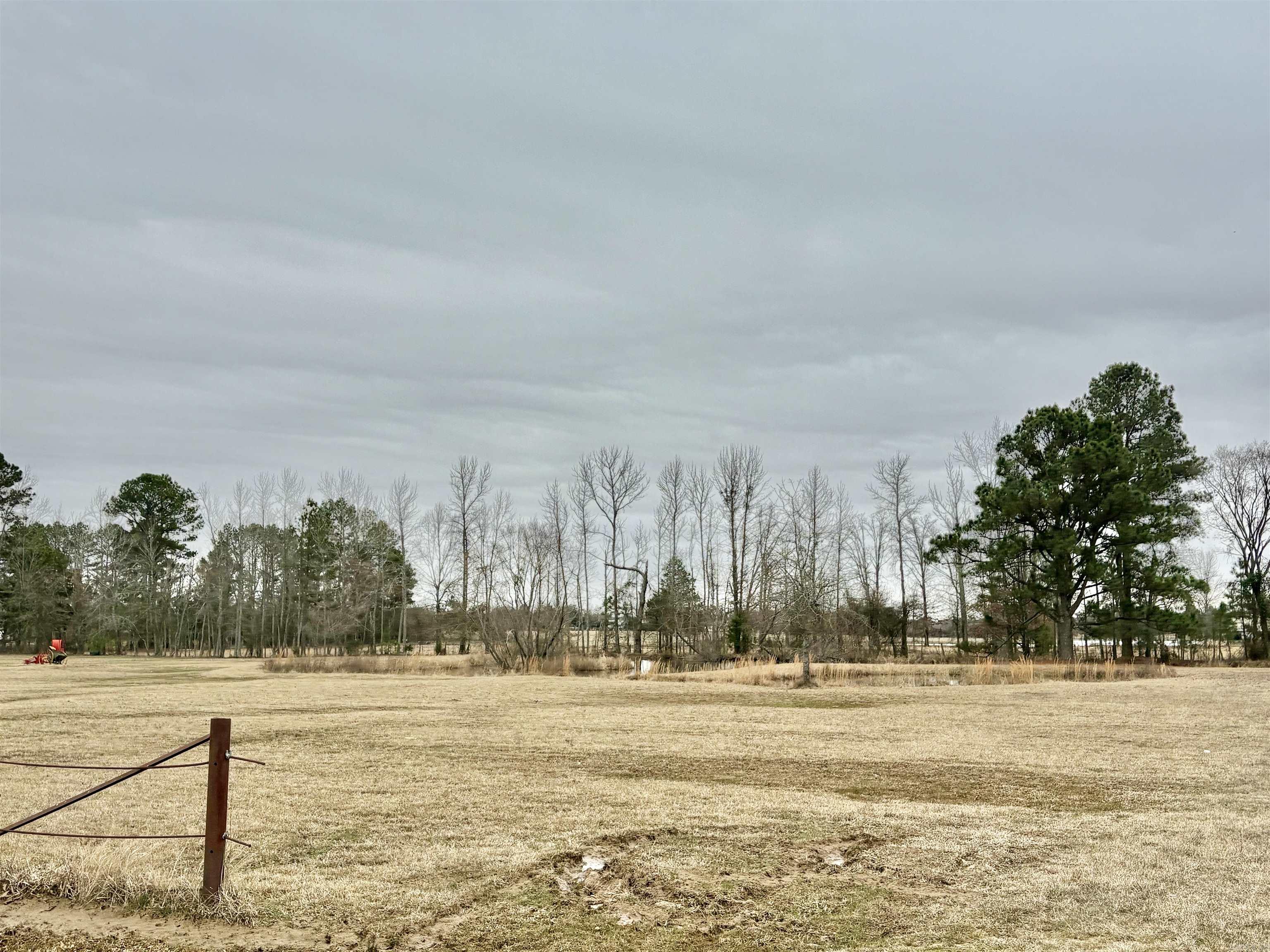 2566  Grant 45  Prattsville, AR