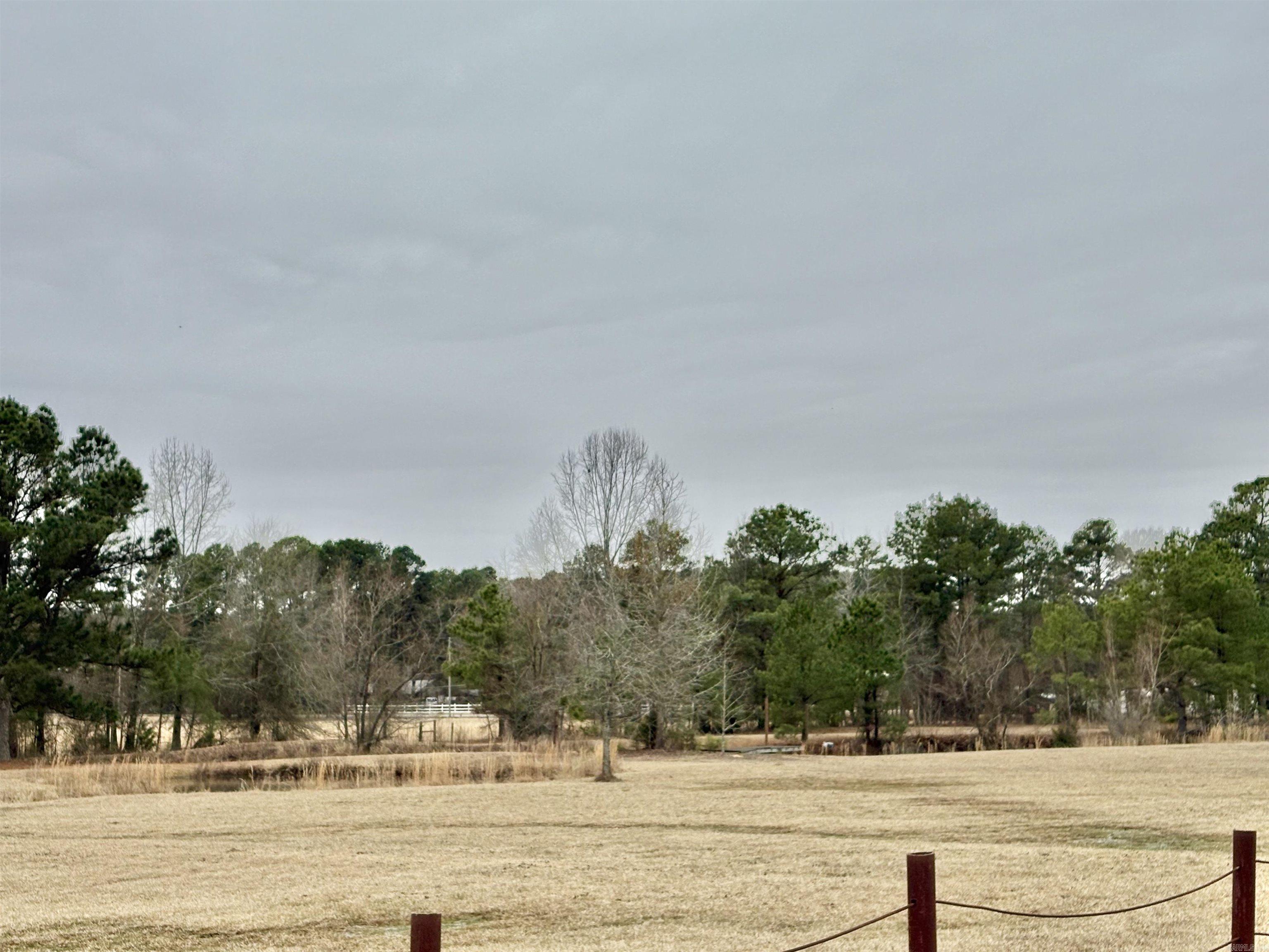 2566  Grant 45  Prattsville, AR