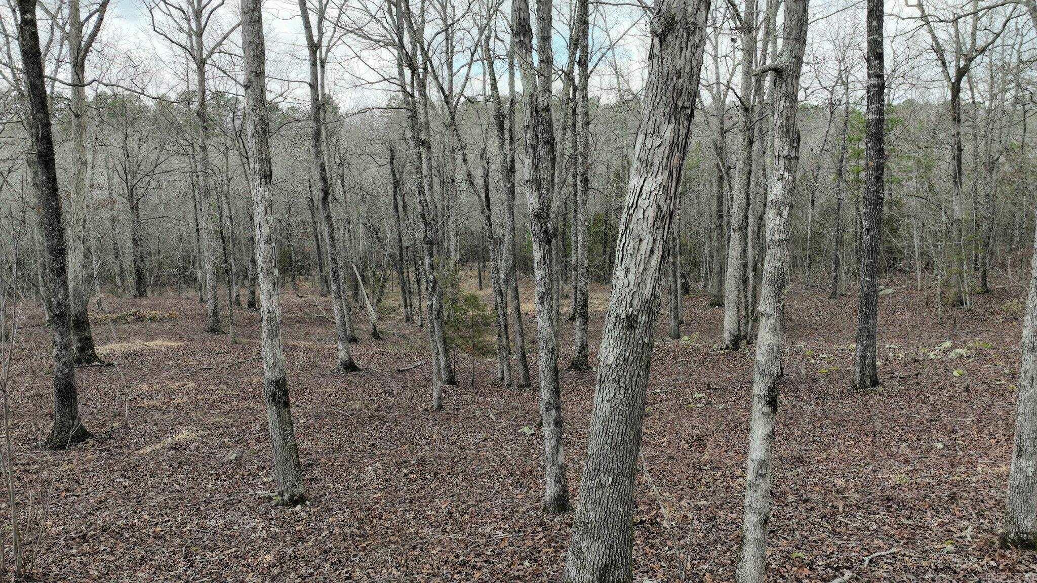 TBD  Dogwood Springs Lane  Mena, AR