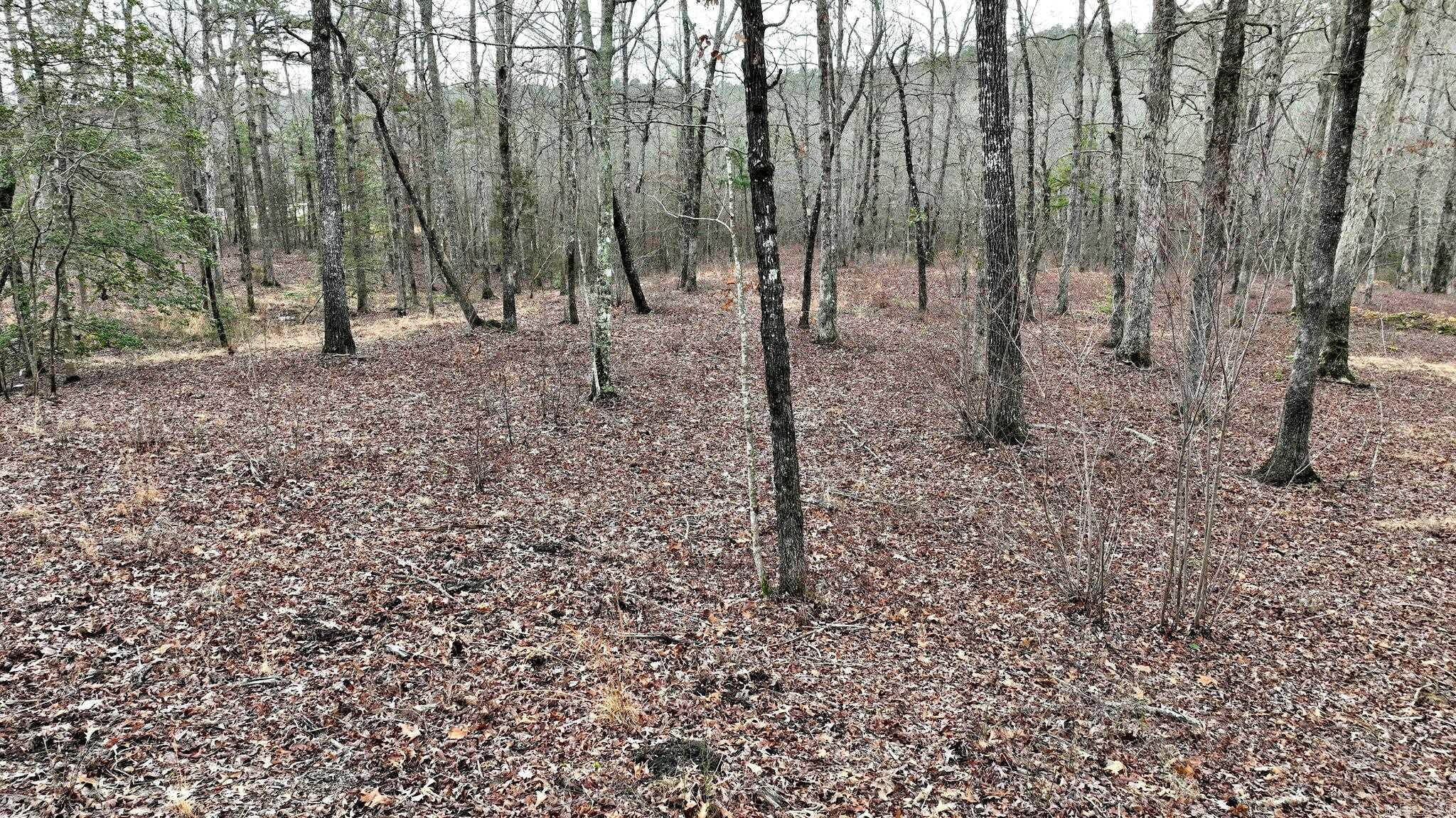 TBD  Dogwood Springs Lane  Mena, AR