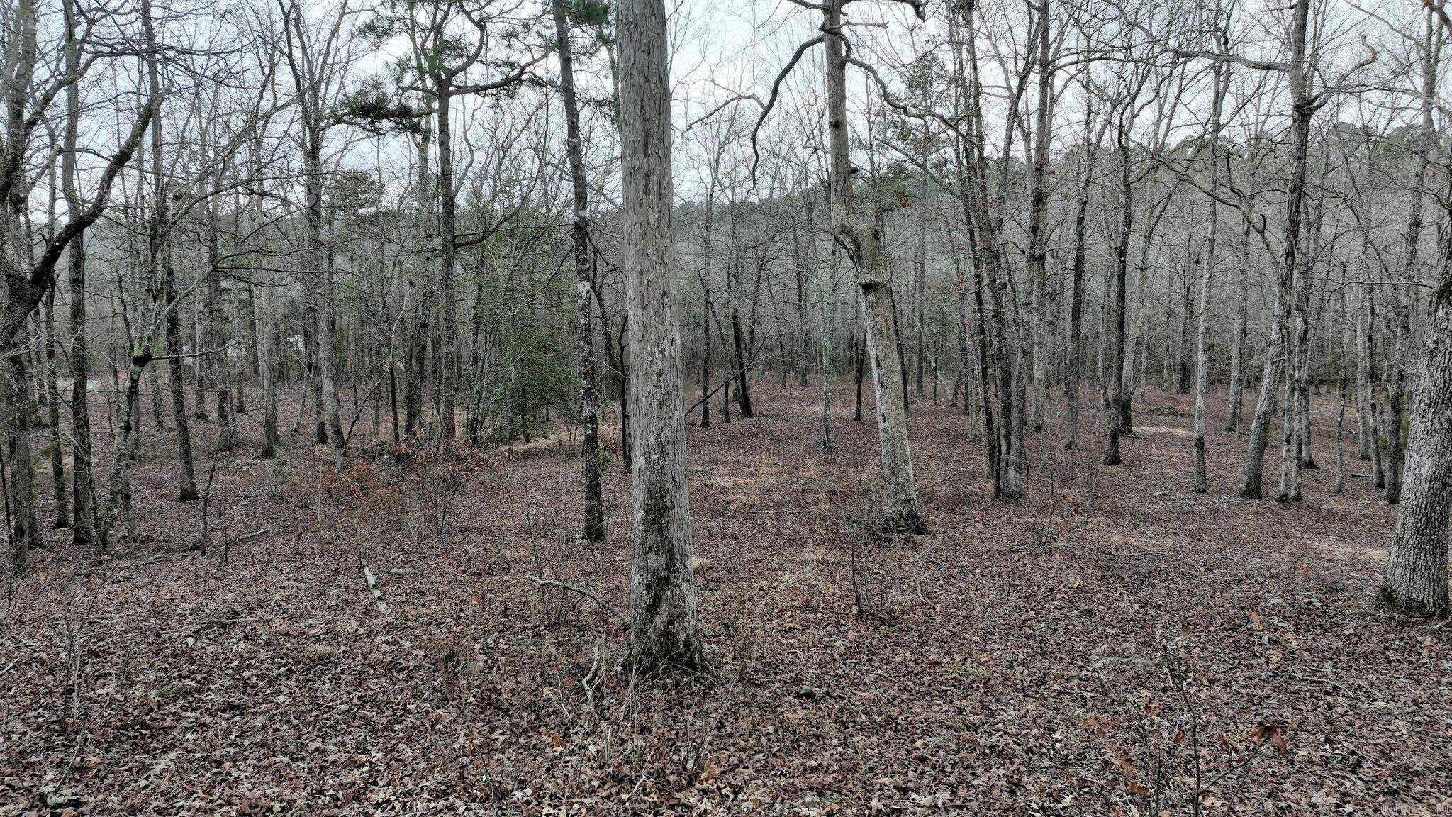 TBD  Dogwood Springs Lane  Mena, AR