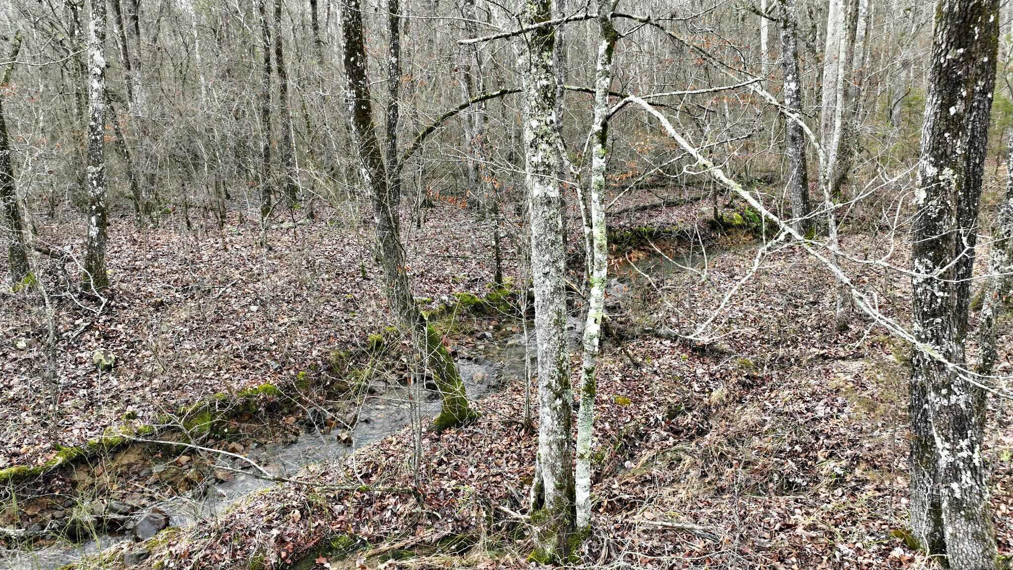 TBD  Dogwood Springs Lane  Mena, AR