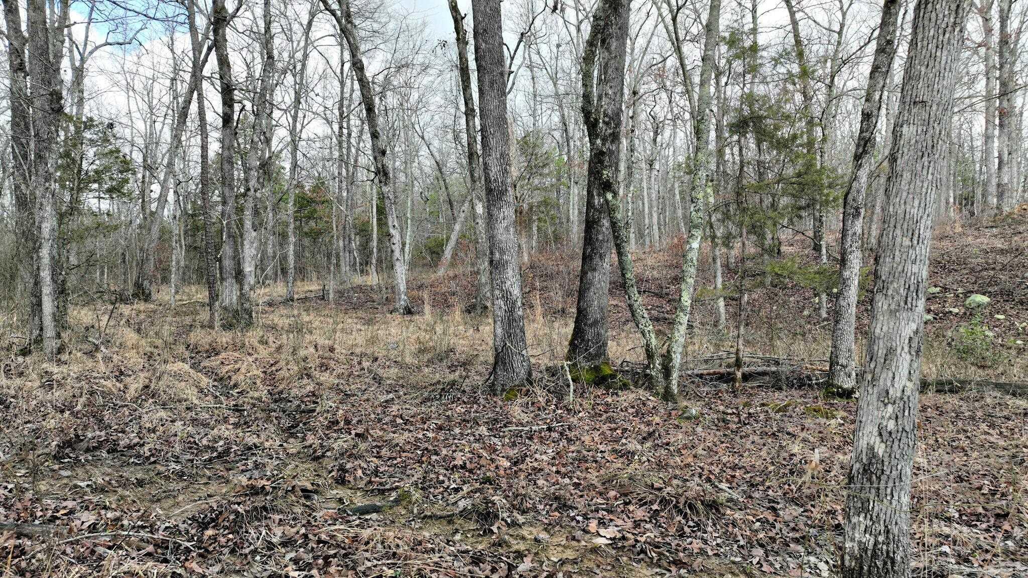 TBD  Dogwood Springs Lane  Mena, AR
