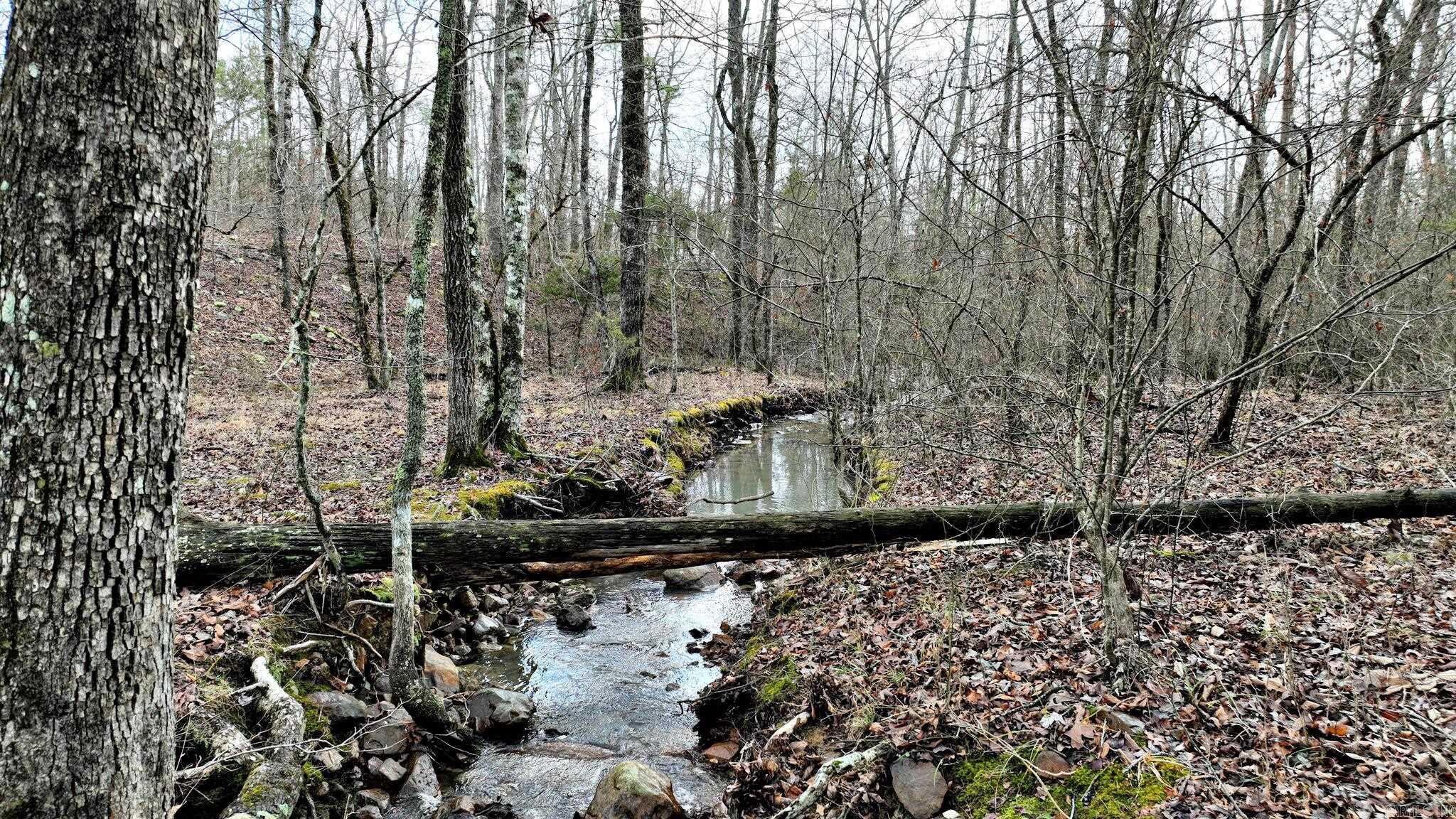 TBD  Dogwood Springs Lane  Mena, AR