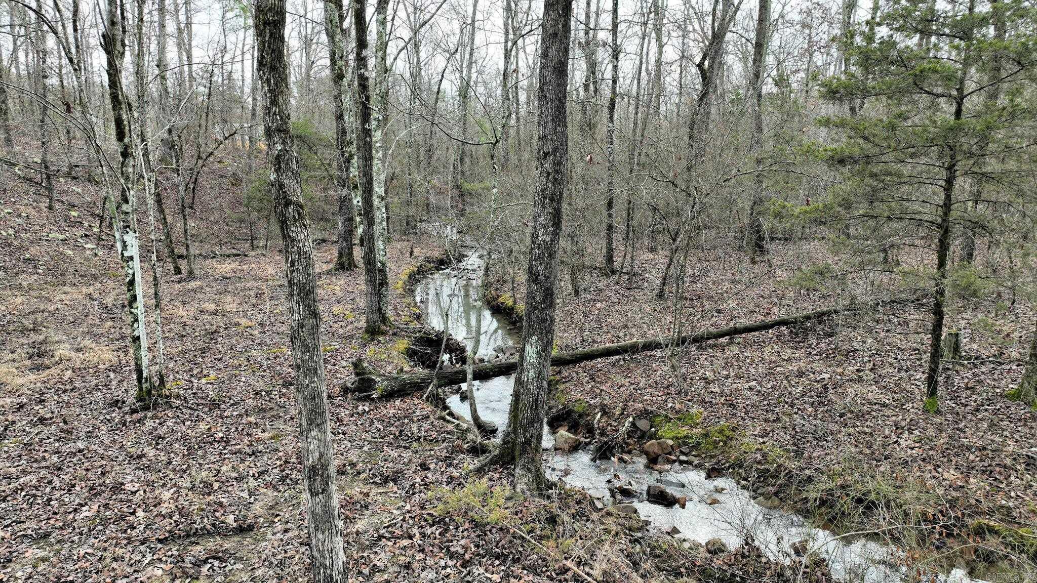 TBD  Dogwood Springs Lane  Mena, AR