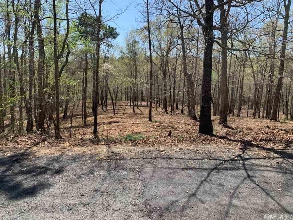 TBD  Dogwood Springs Lane  Mena, AR