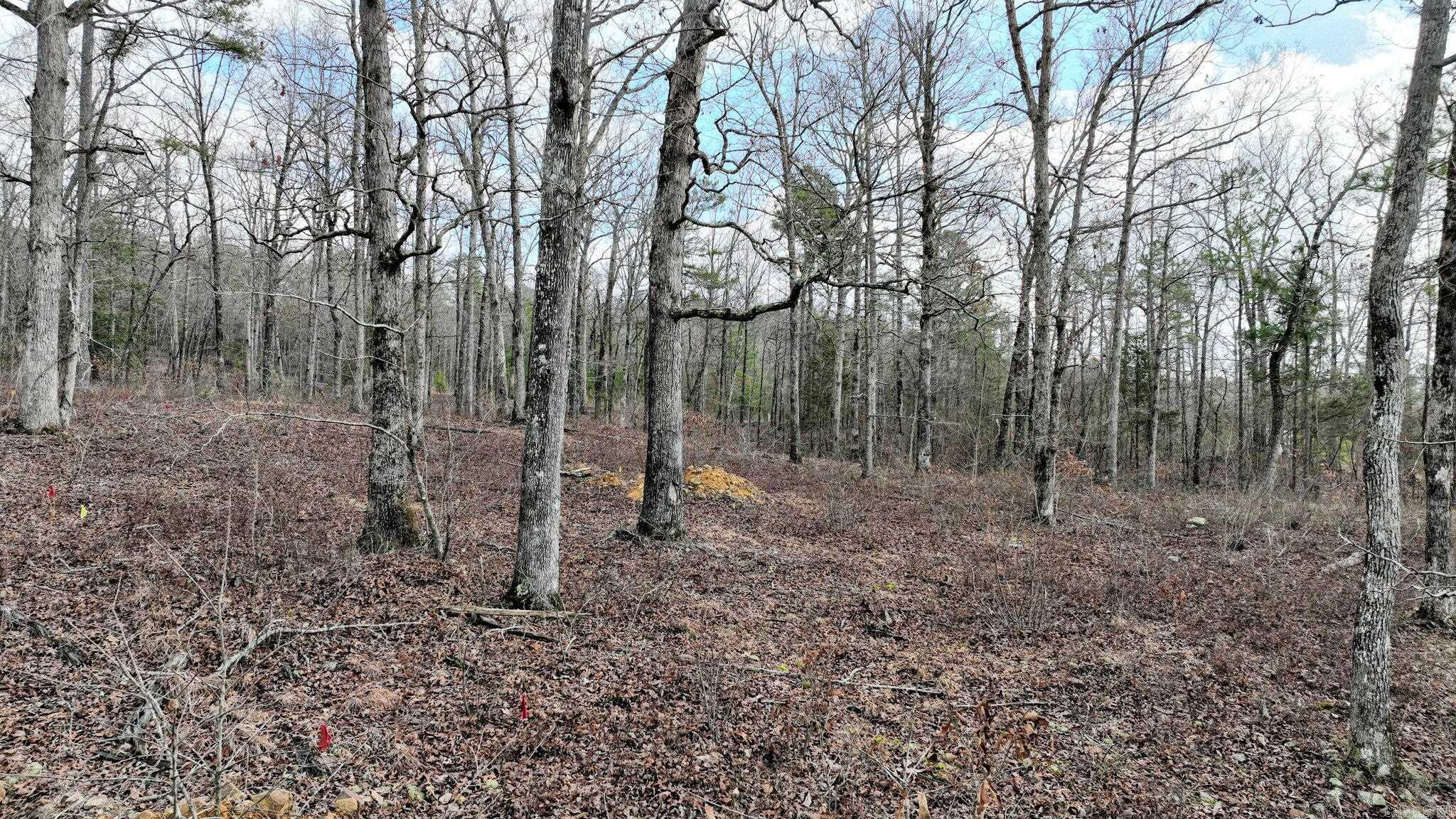 TBD  Dogwood Springs Lane  Mena, AR