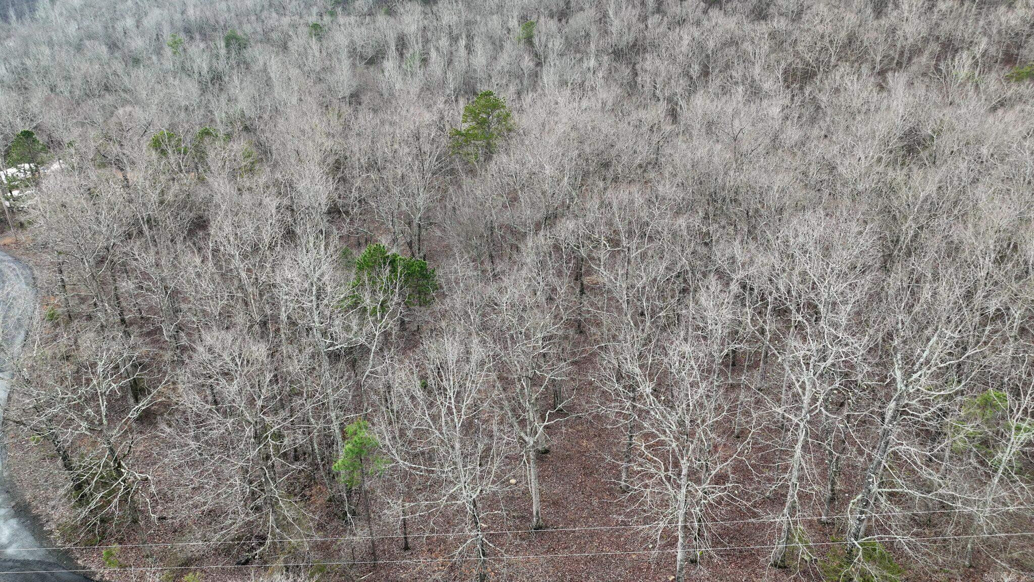TBD  Dogwood Springs Lane  Mena, AR