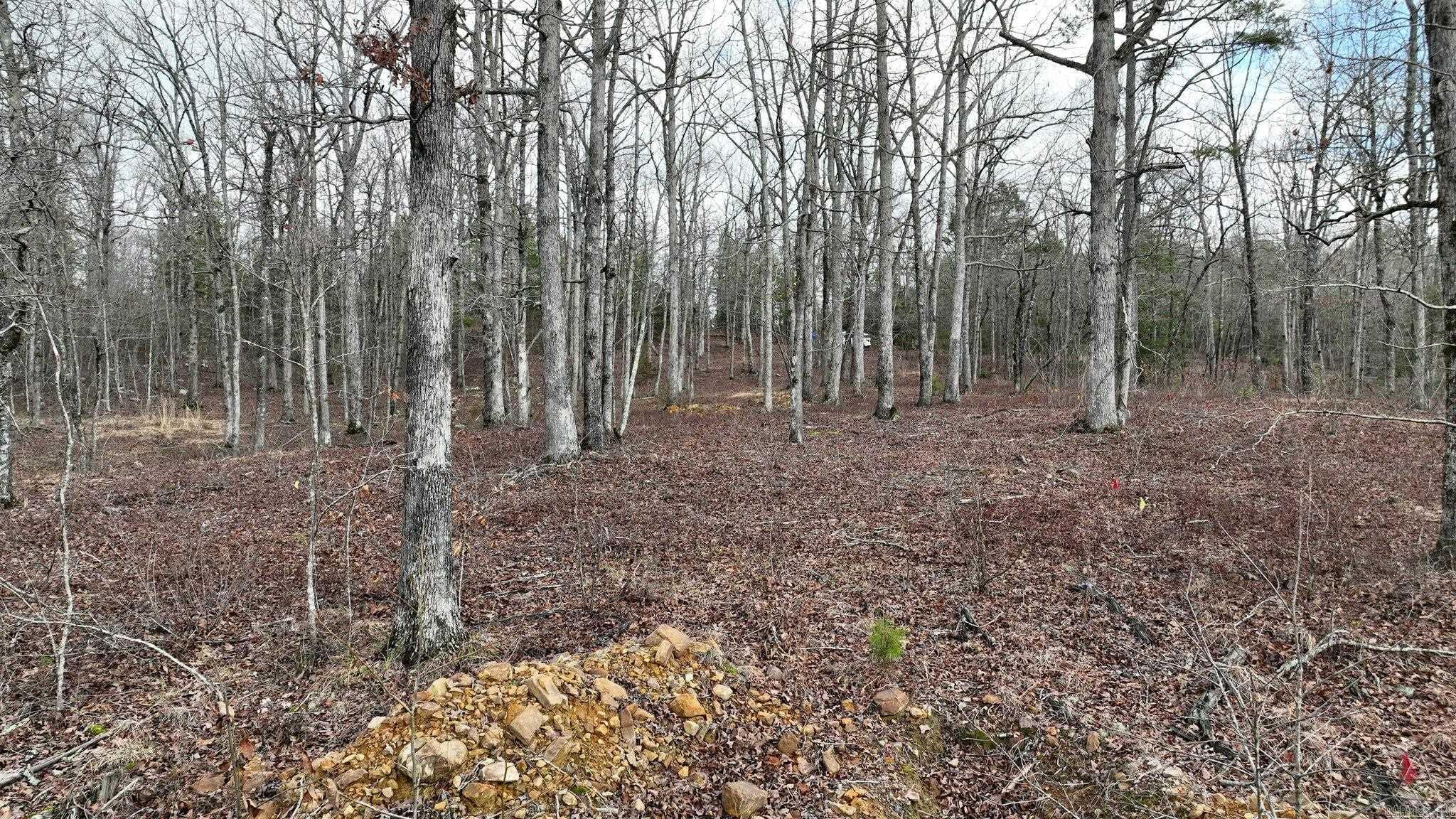 TBD  Dogwood Springs Lane  Mena, AR