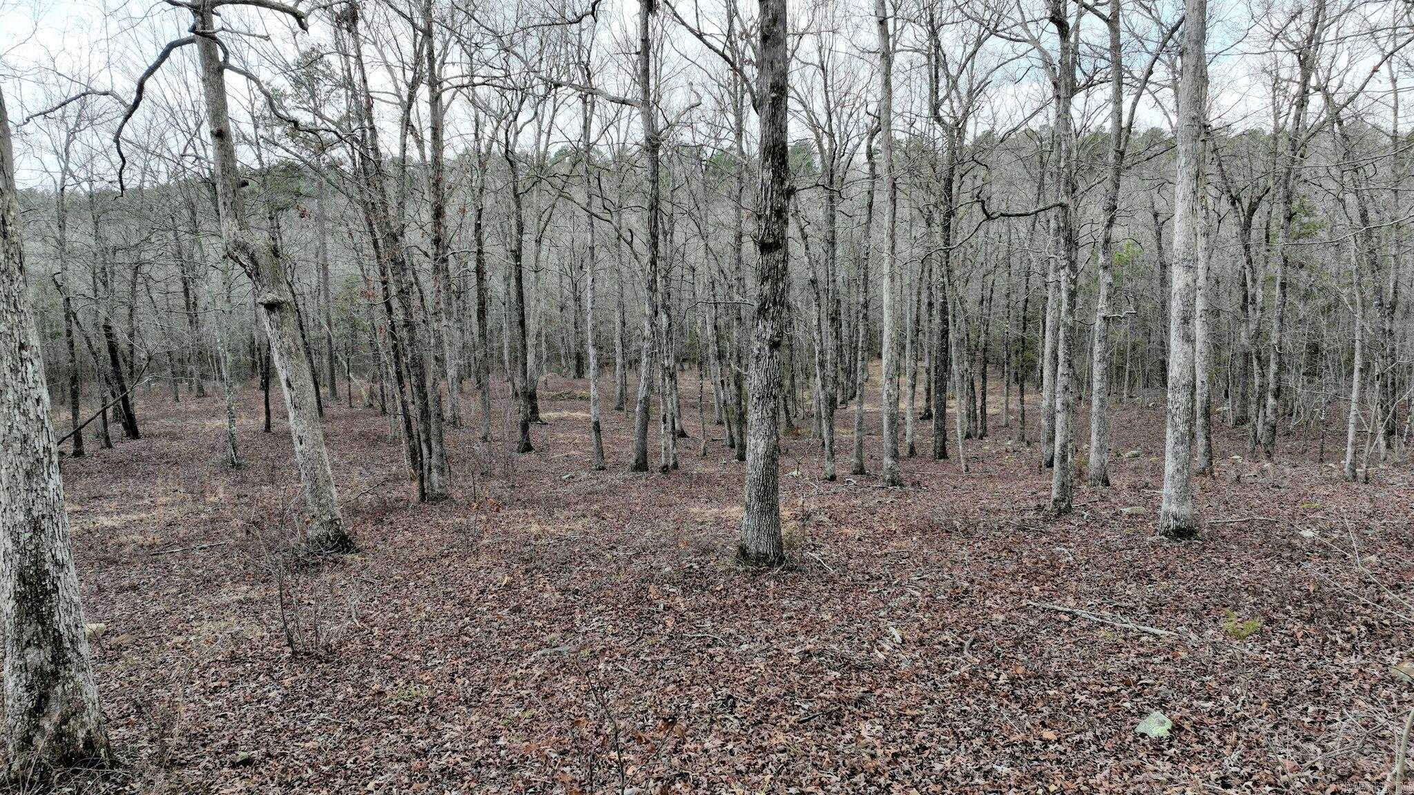 TBD  Dogwood Springs Lane  Mena, AR