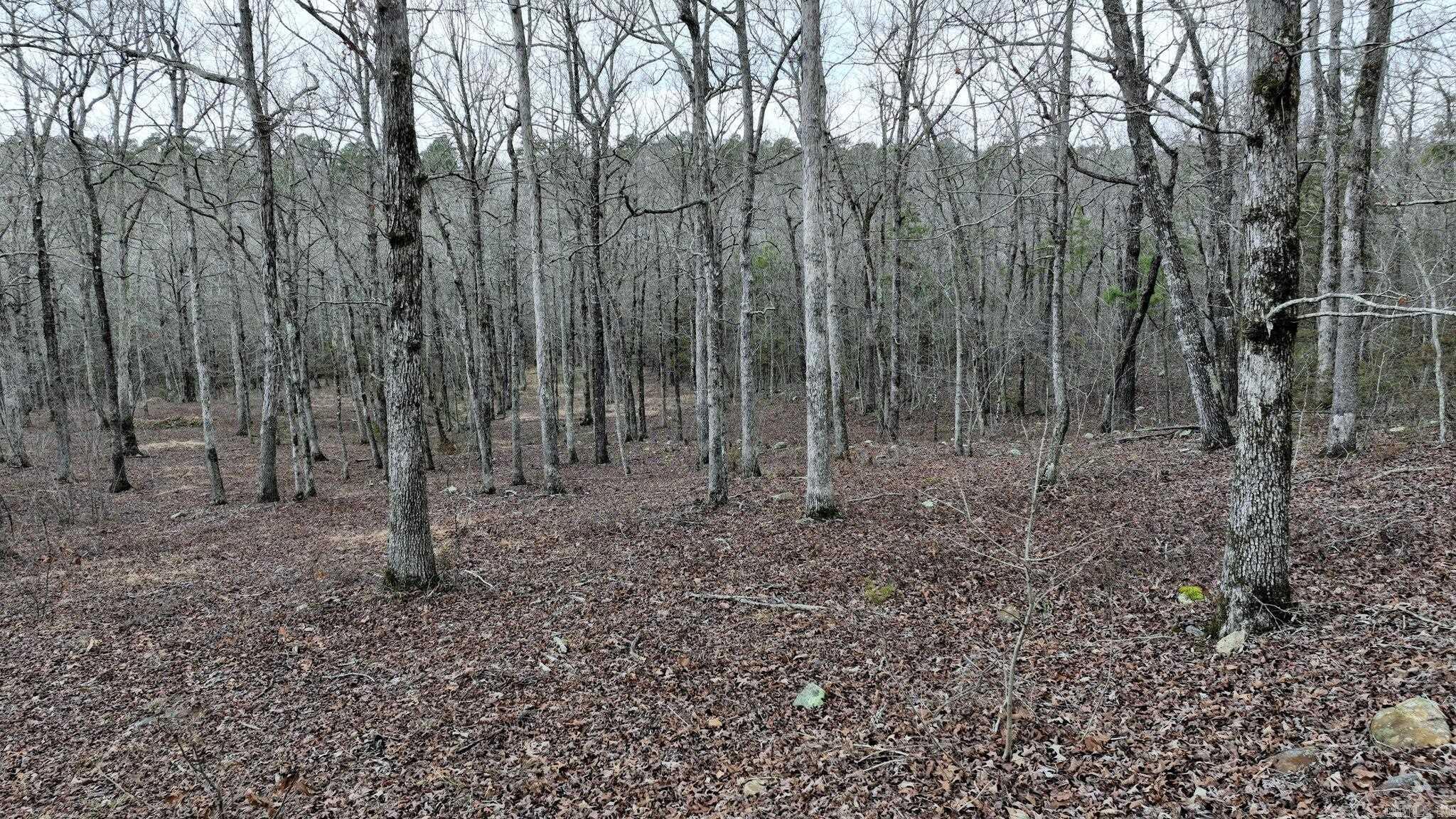 TBD  Dogwood Springs Lane  Mena, AR