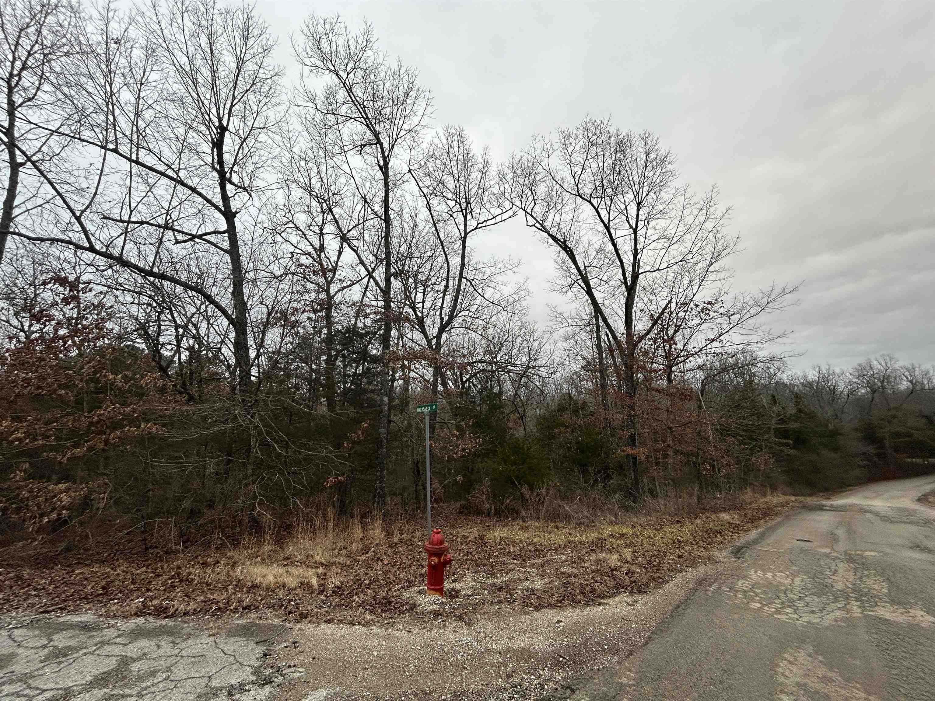 TBD  Wacasassa  Cherokee Village, AR