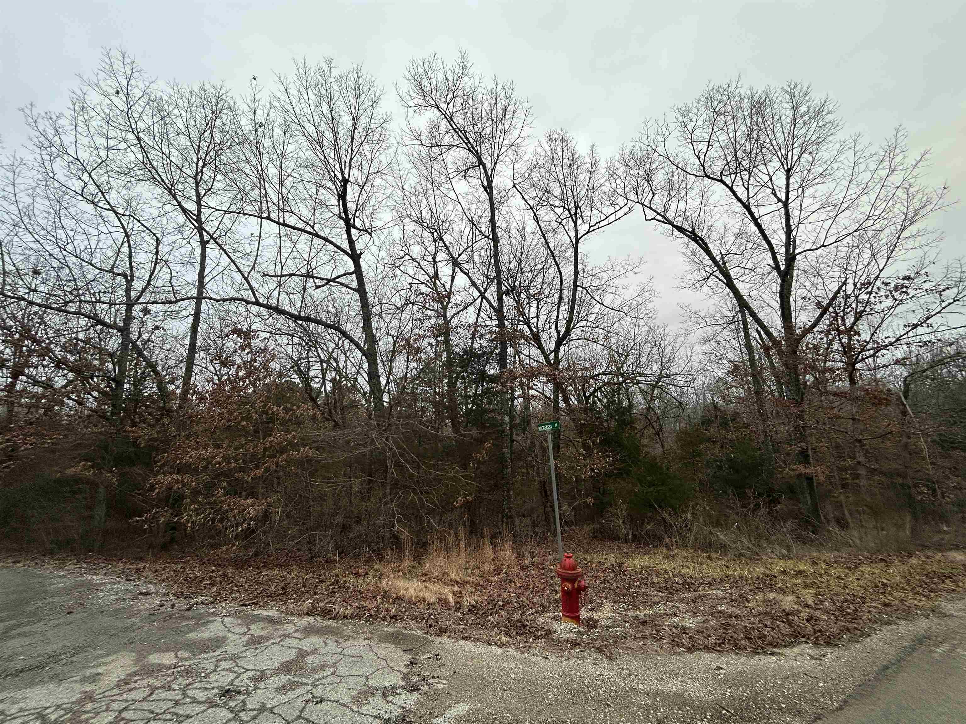TBD  Wacasassa  Cherokee Village, AR