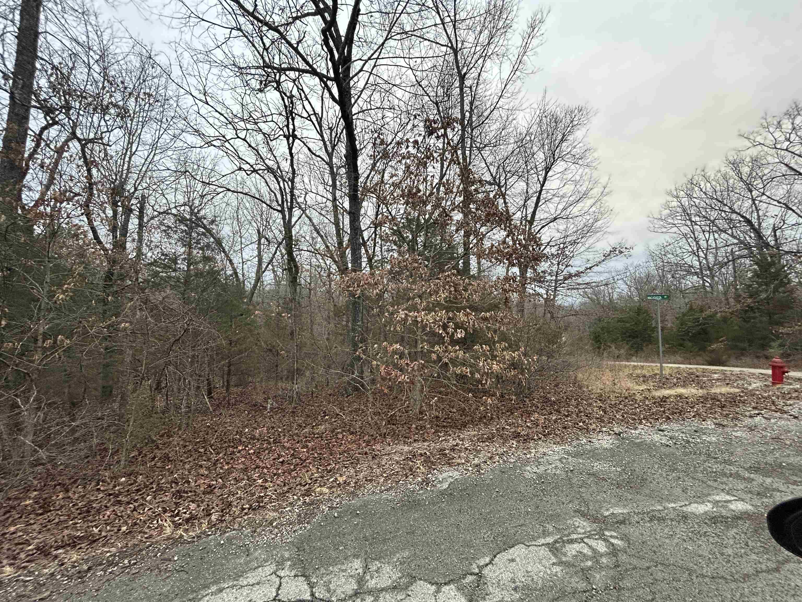 TBD  Wacasassa  Cherokee Village, AR