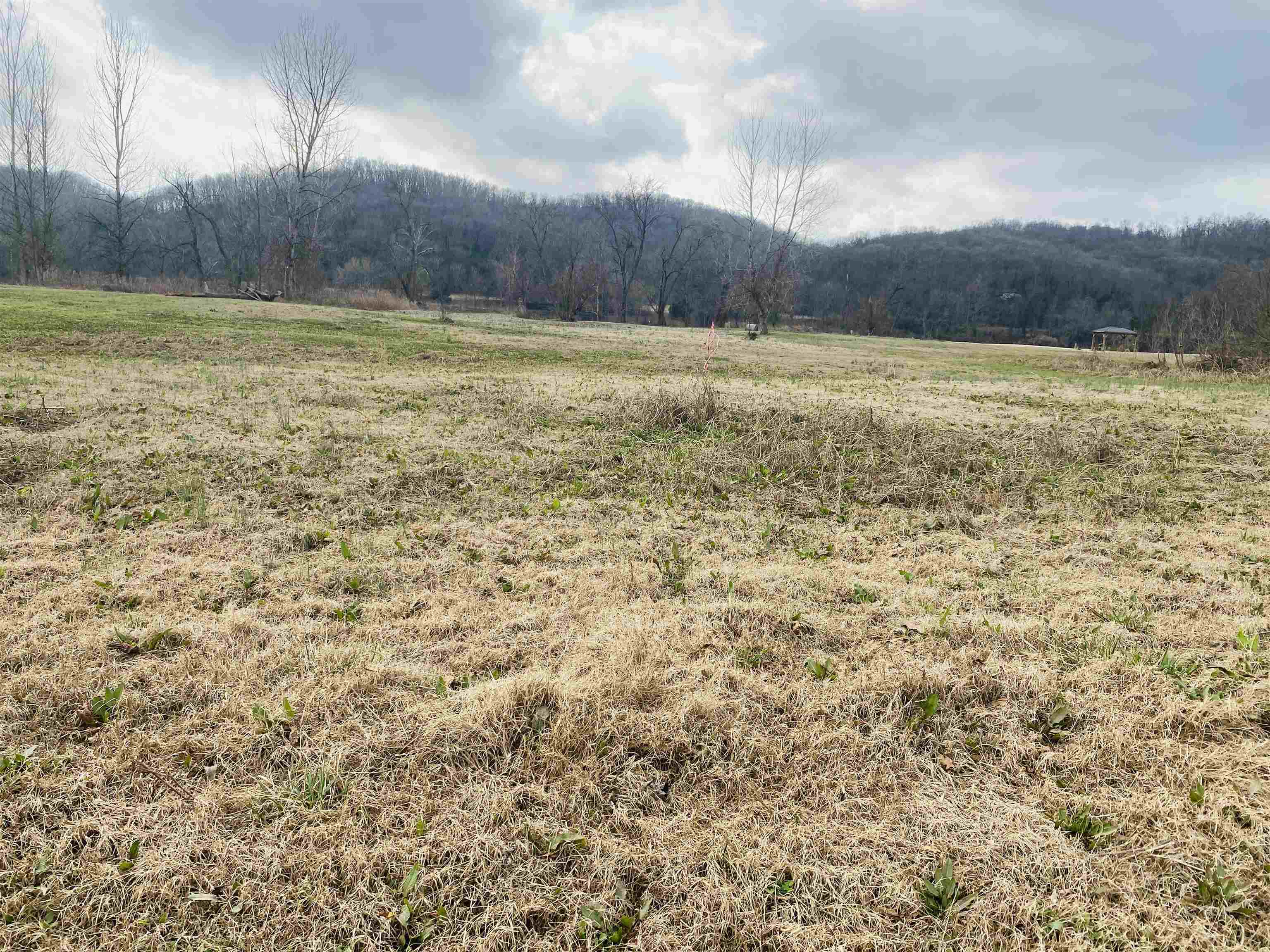 Lot 49  White River Run  Guion, AR