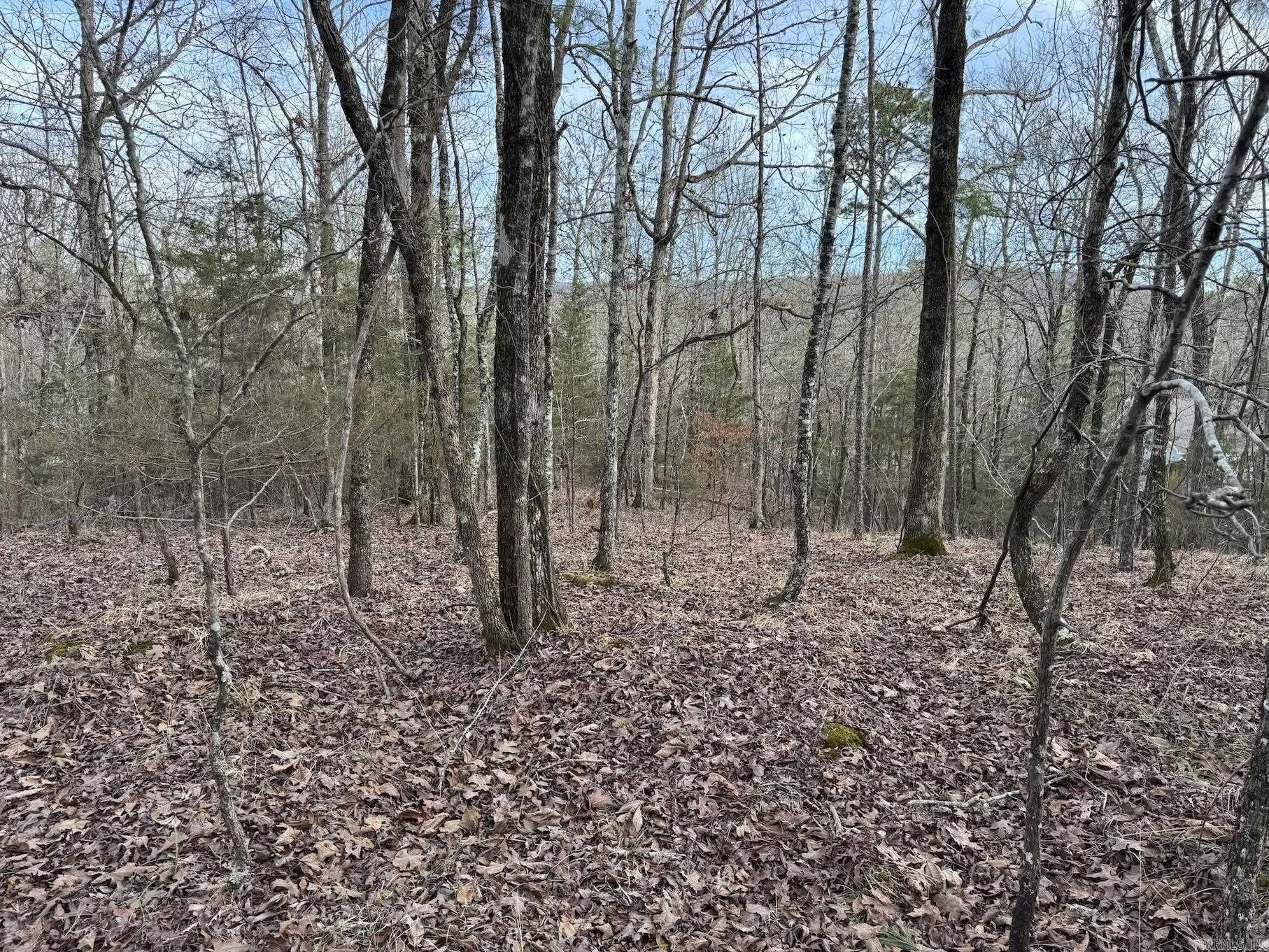 29  Hidden Cove Lot 10 Mount Ida, AR