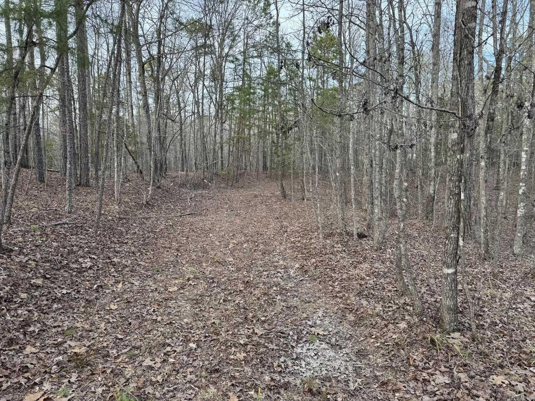 29  Hidden Cove Lot 10 Mount Ida, AR