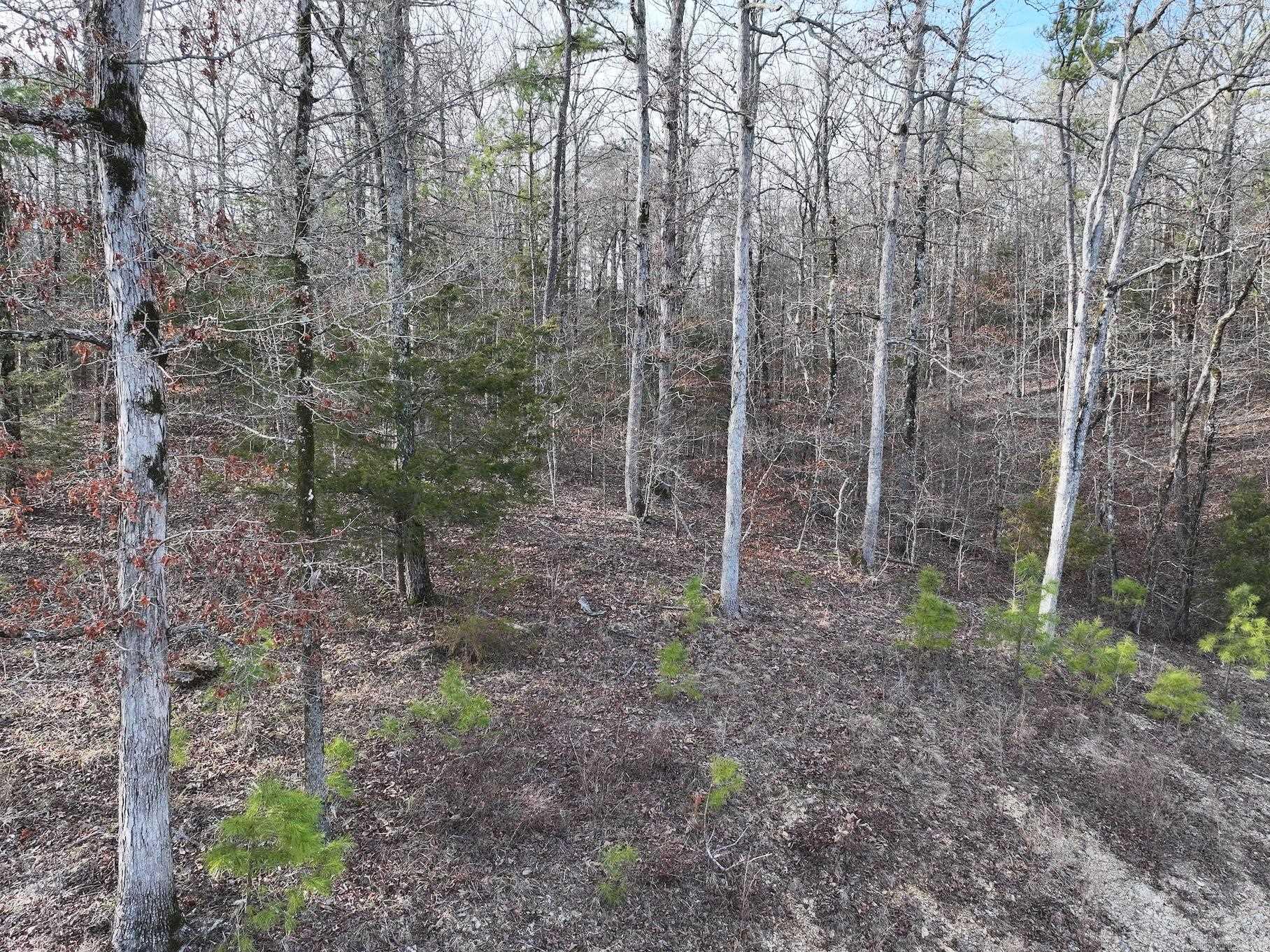 29  Hidden Cove Lot 10 Mount Ida, AR