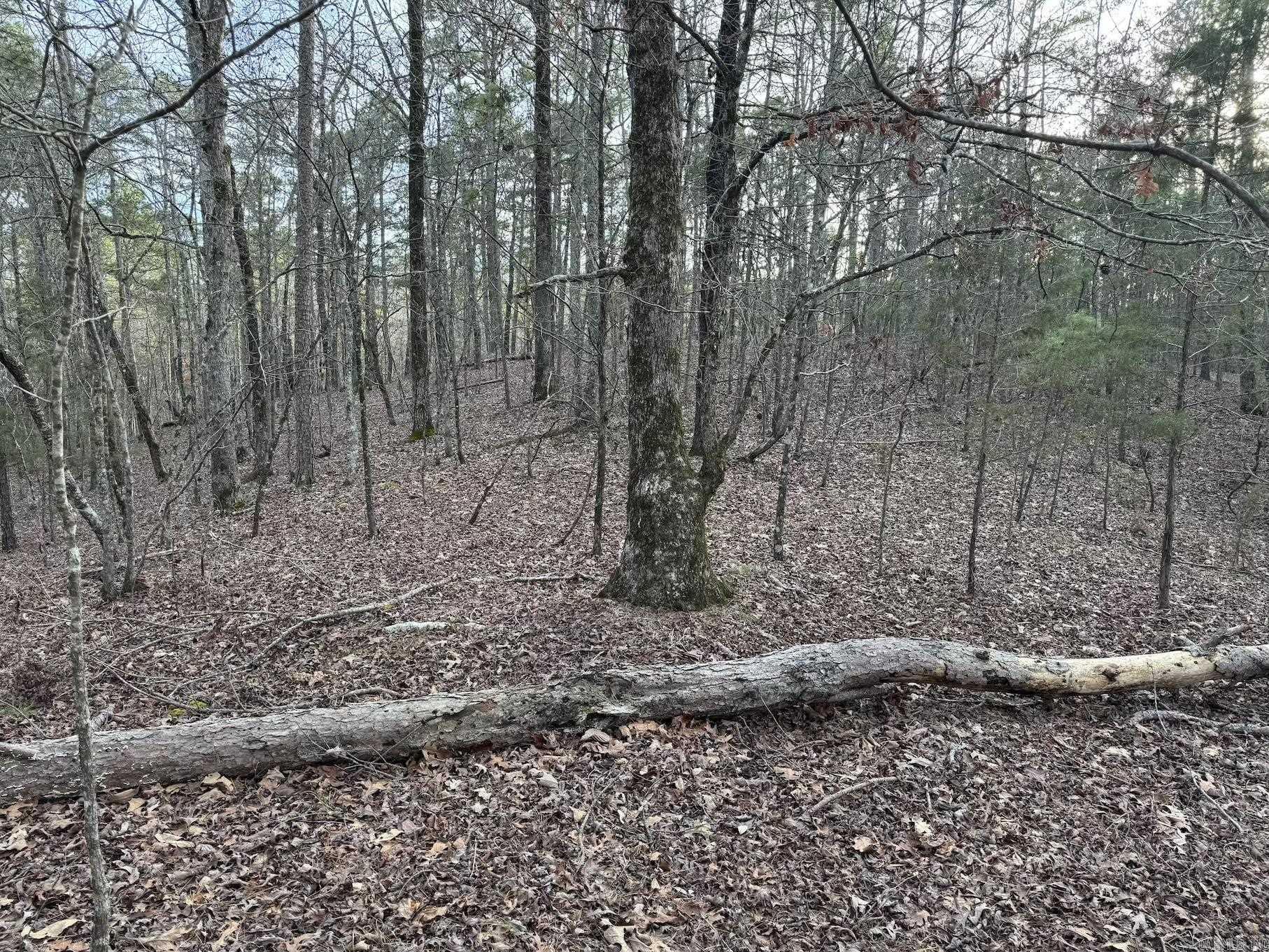 29  Hidden Cove Lot 10 Mount Ida, AR