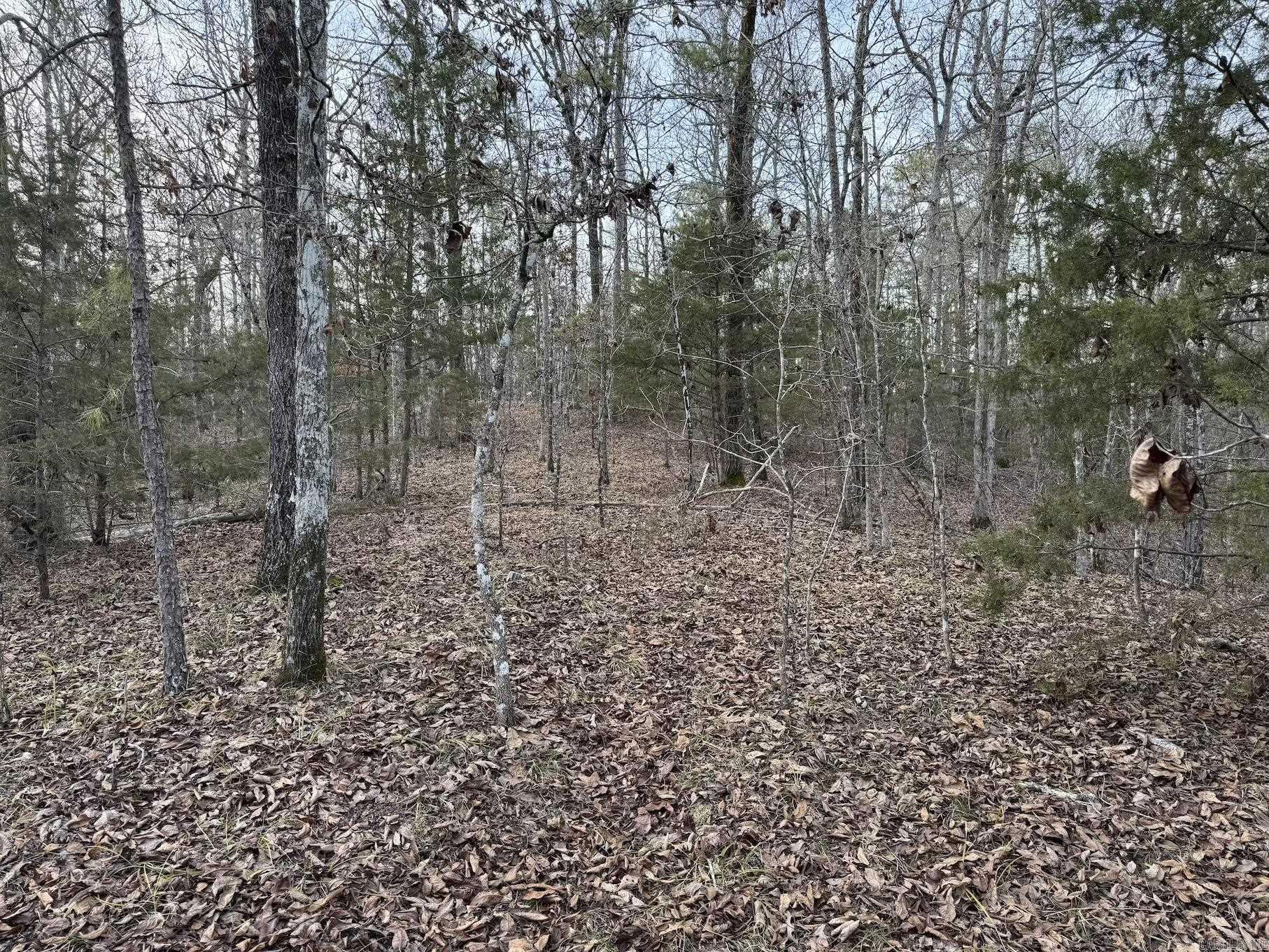 29  Hidden Cove Lot 10 Mount Ida, AR