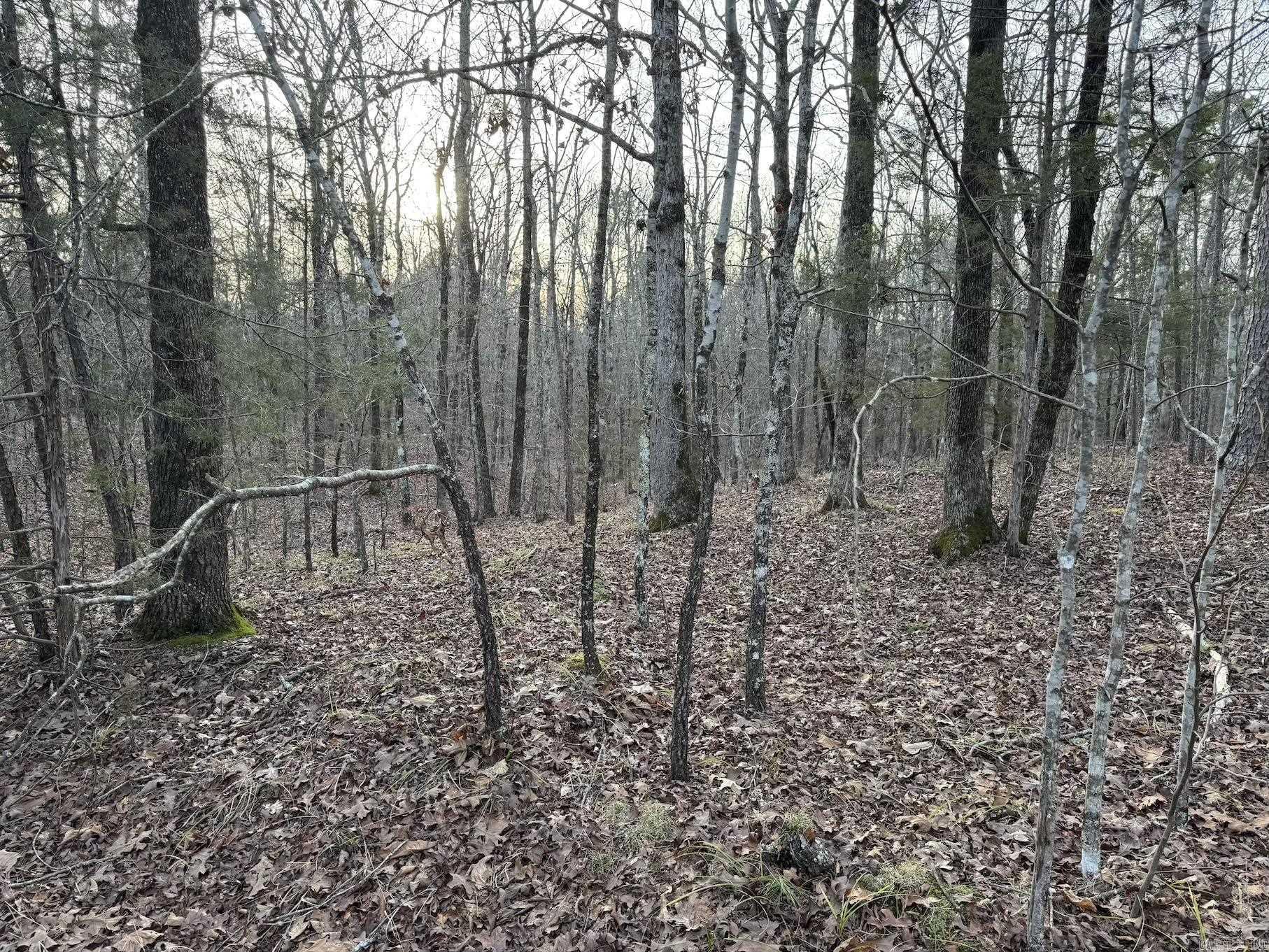 29  Hidden Cove Lot 10 Mount Ida, AR