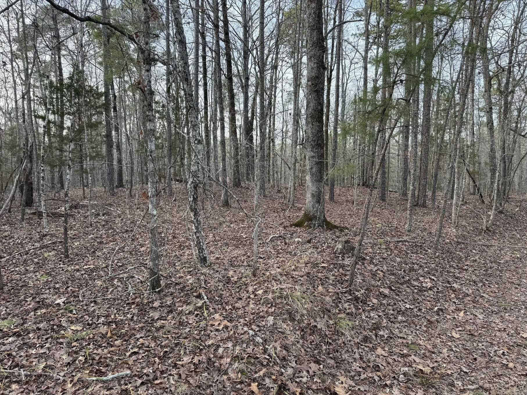 29  Hidden Cove Lot 10 Mount Ida, AR