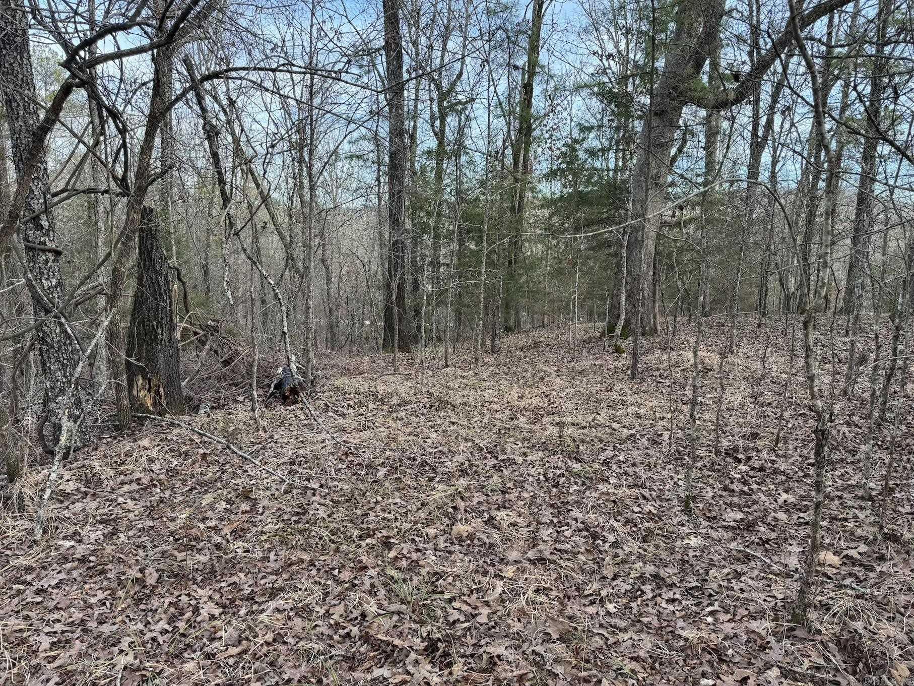 29  Hidden Cove Lot 10 Mount Ida, AR