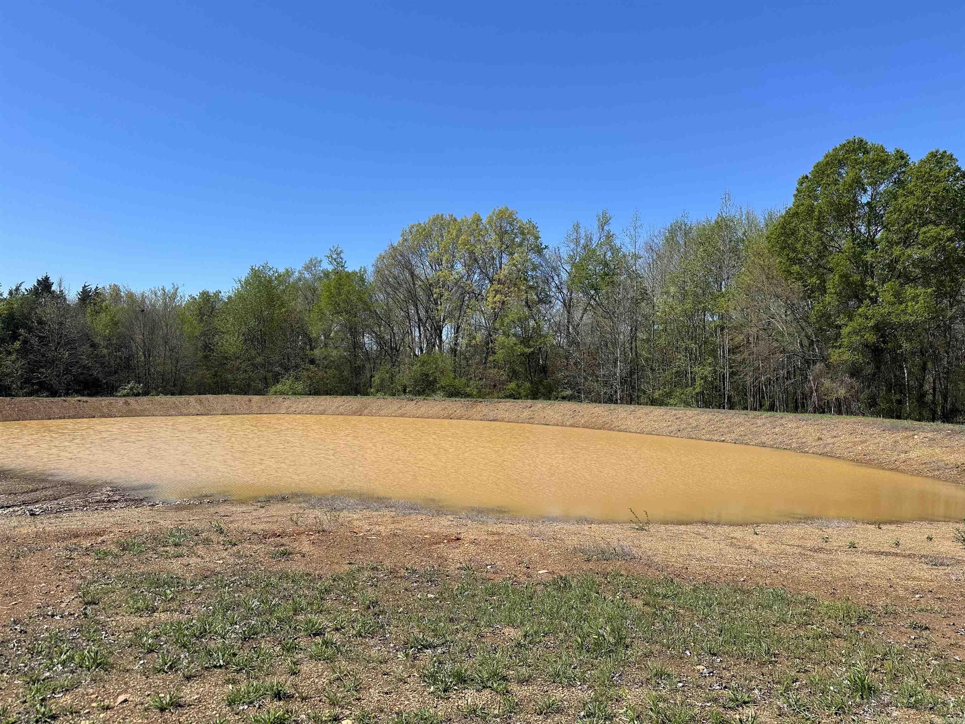77  Garland Springs  Mt. Vernon, AR