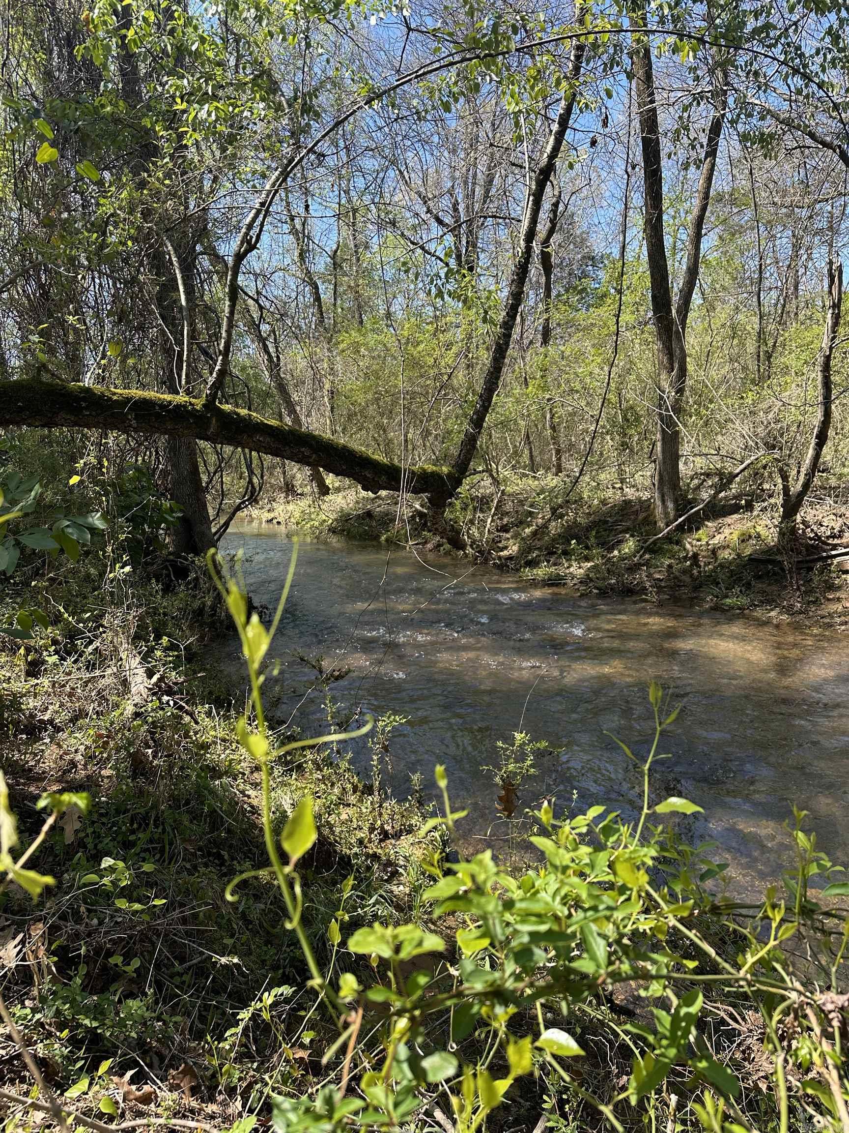 77  Garland Springs  Mt. Vernon, AR