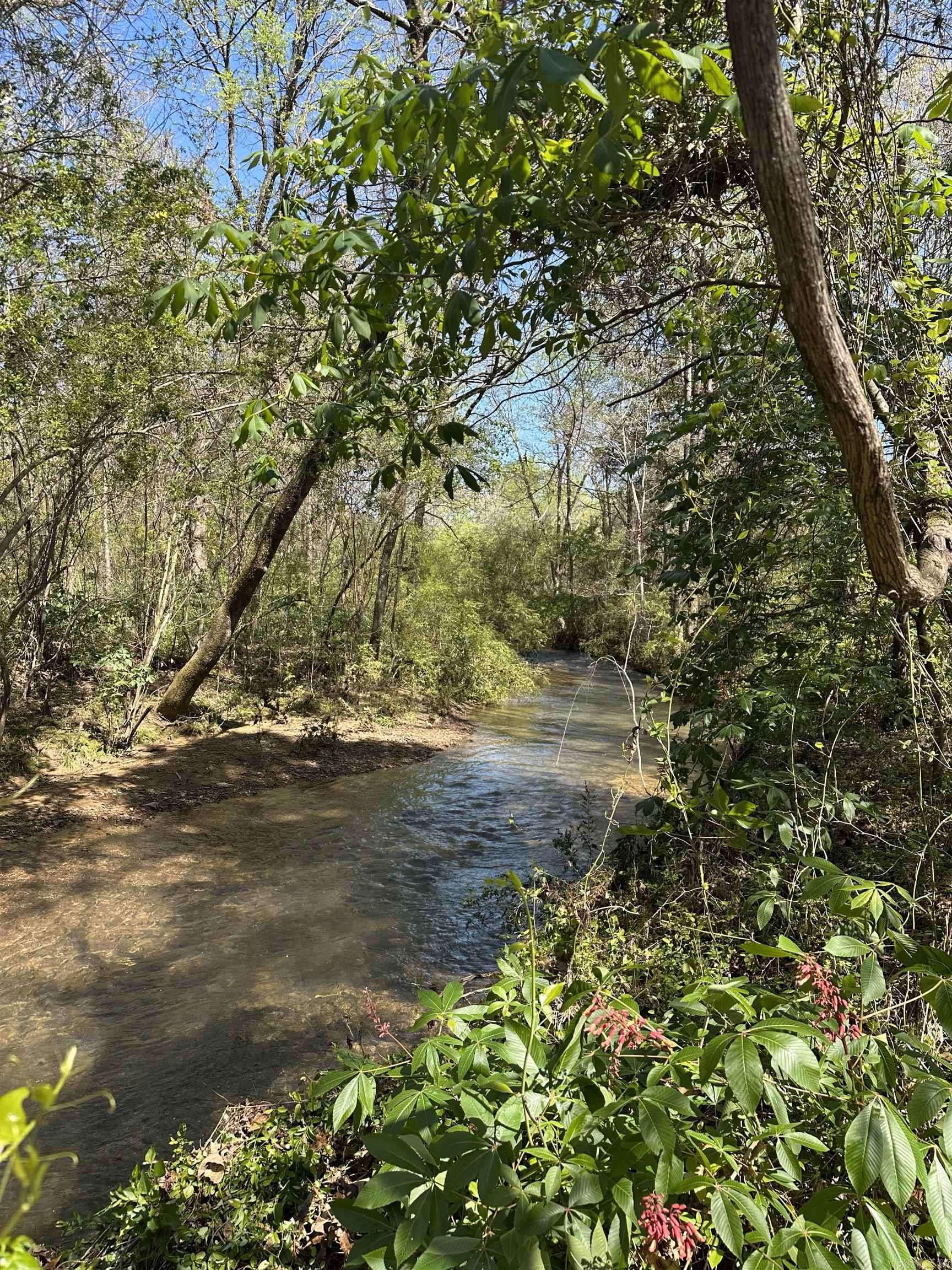 77  Garland Springs  Mt. Vernon, AR