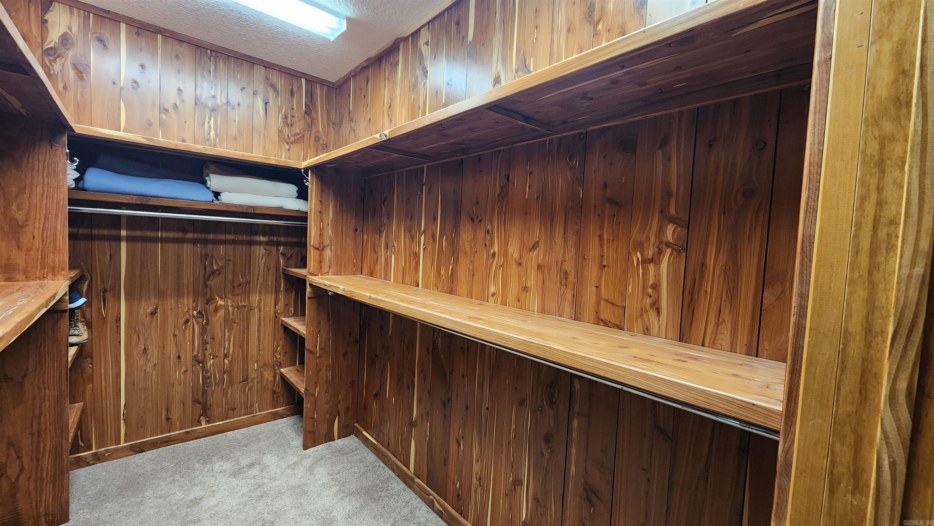 110  Lizard Lane  Story, AR
