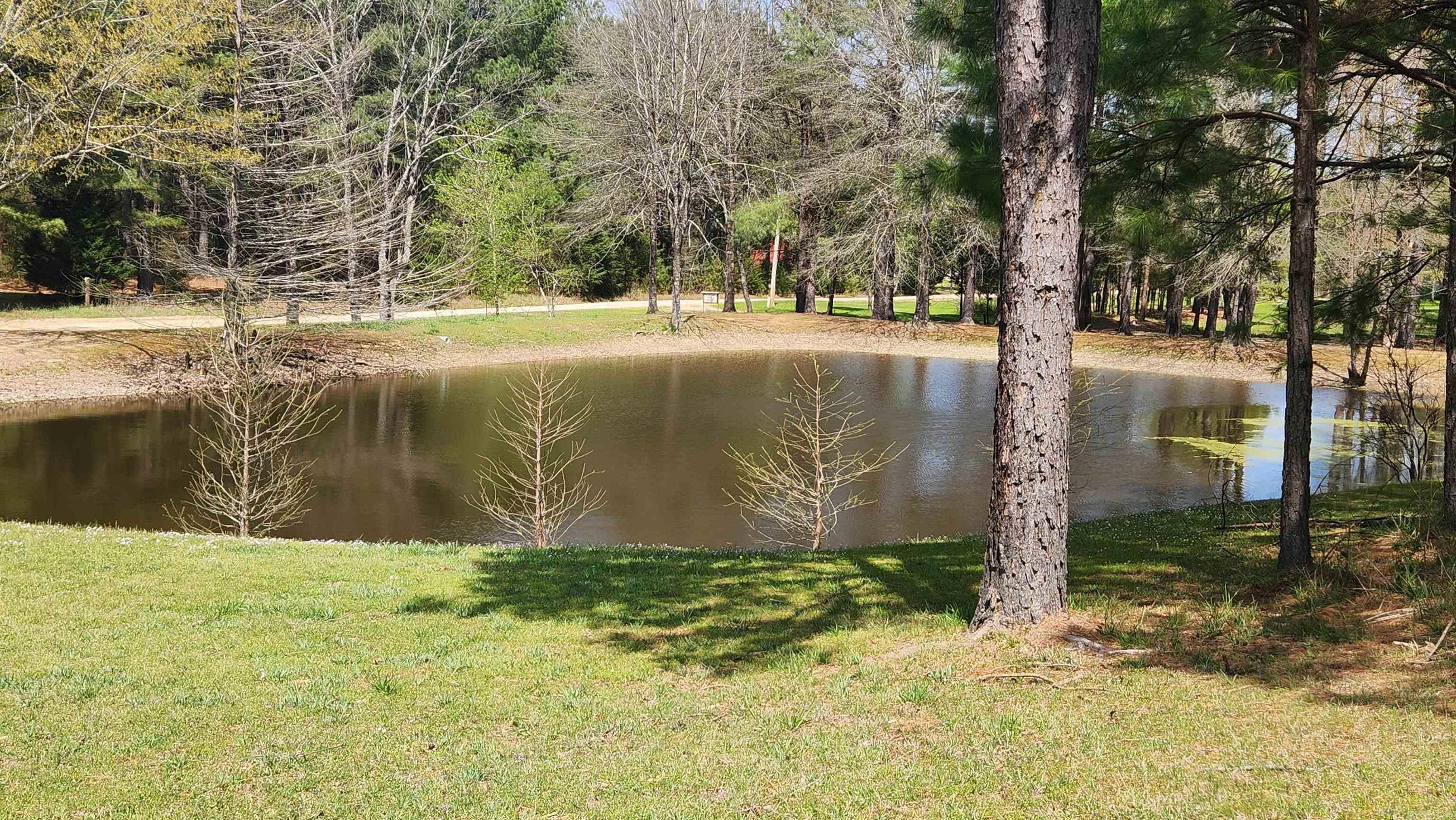 110  Lizard Lane  Story, AR
