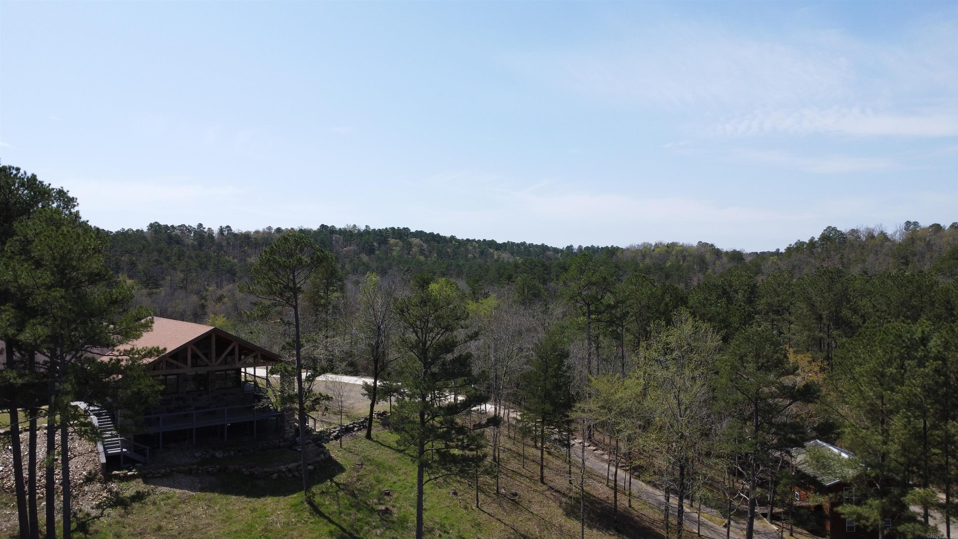 110  Lizard Lane  Story, AR