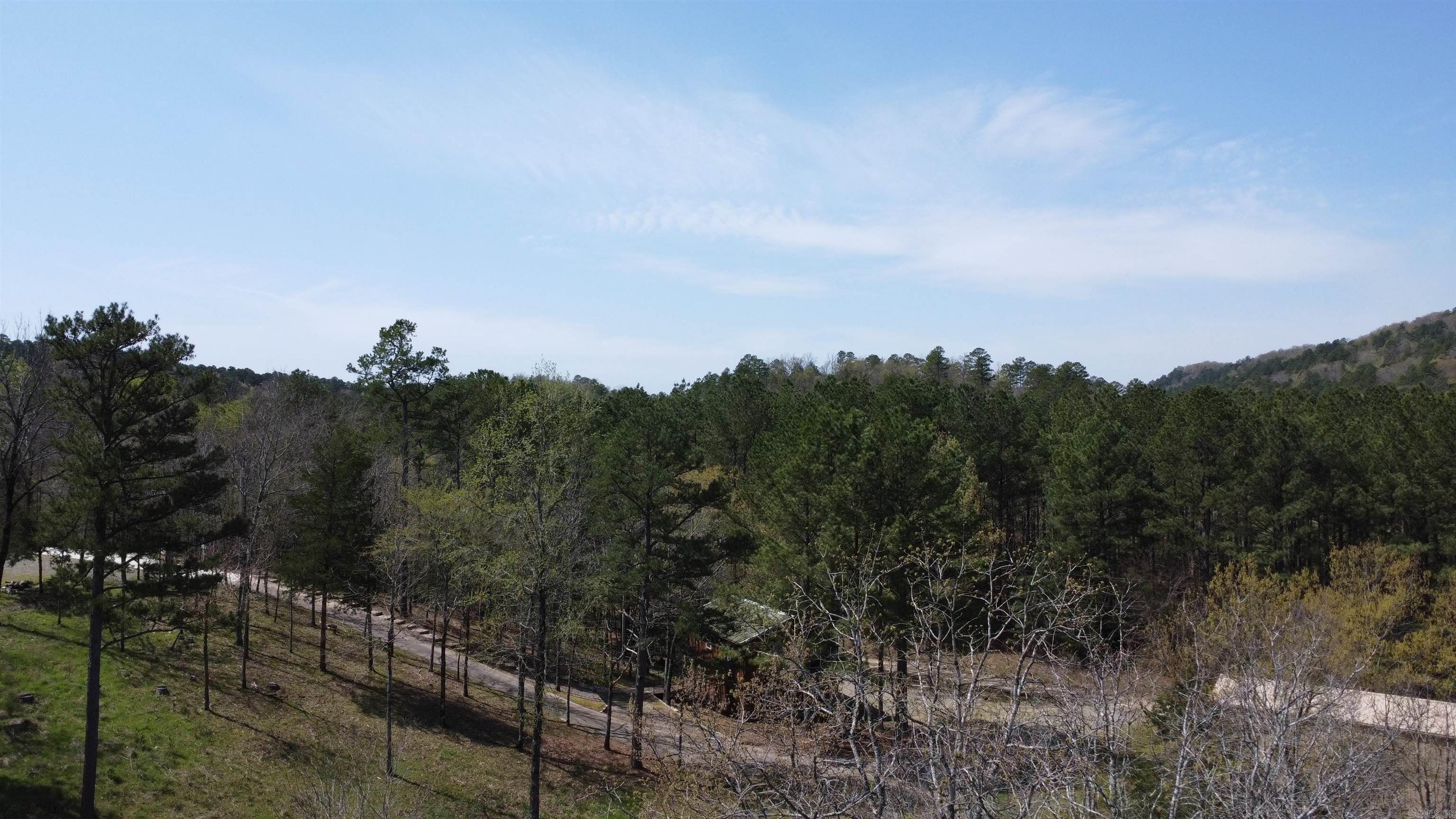 110  Lizard Lane  Story, AR