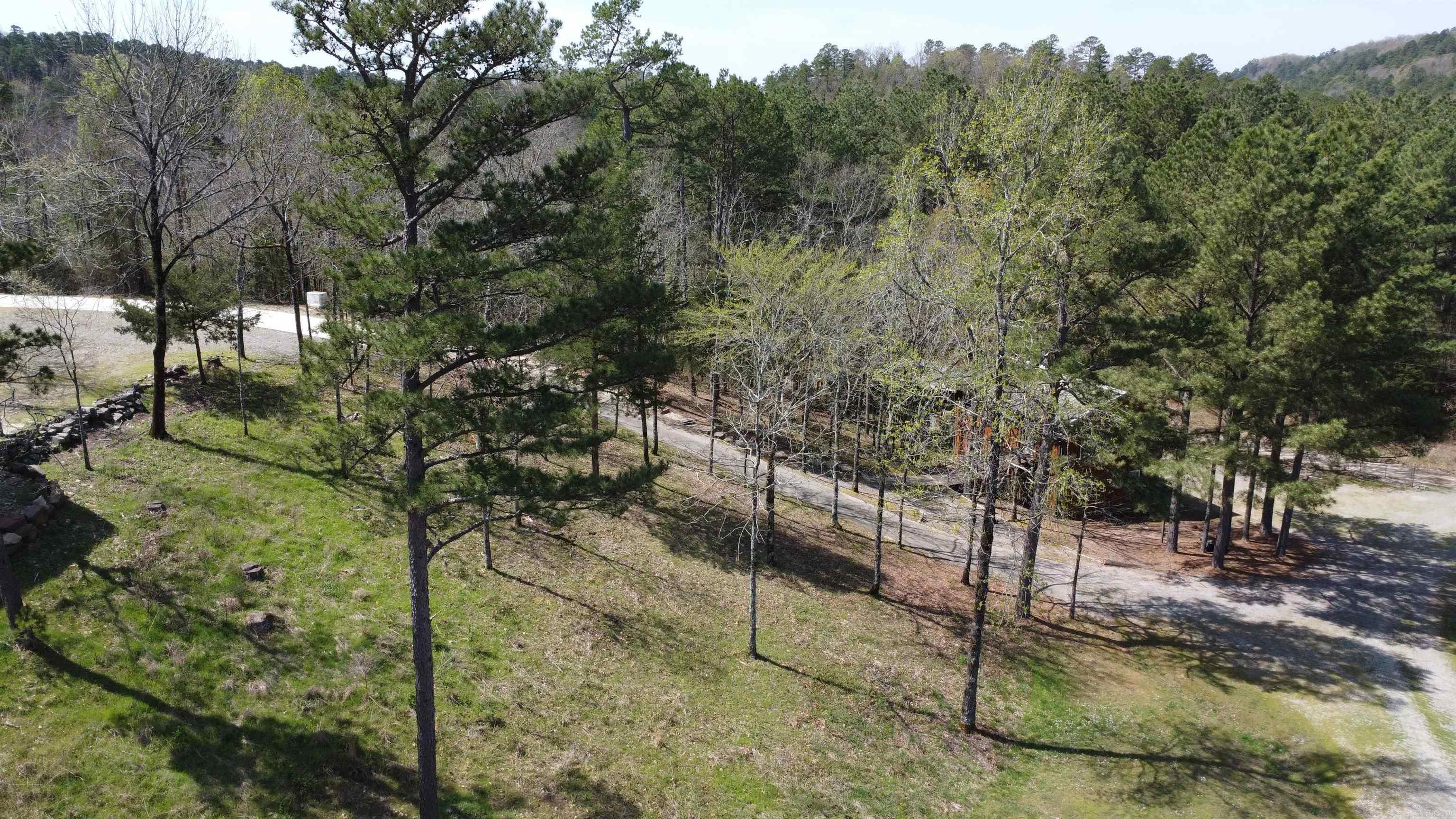 110  Lizard Lane  Story, AR