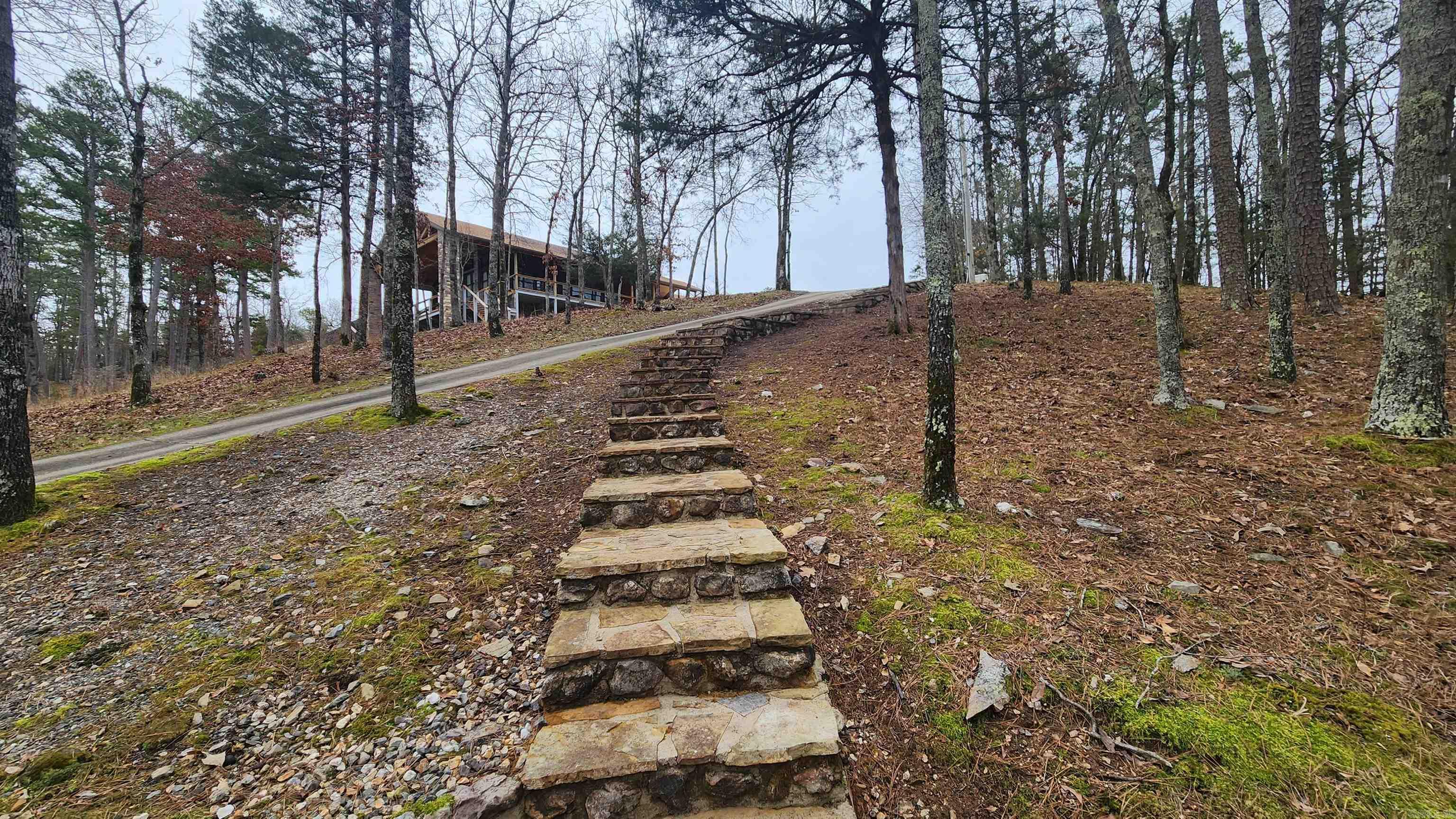110  Lizard Lane  Story, AR
