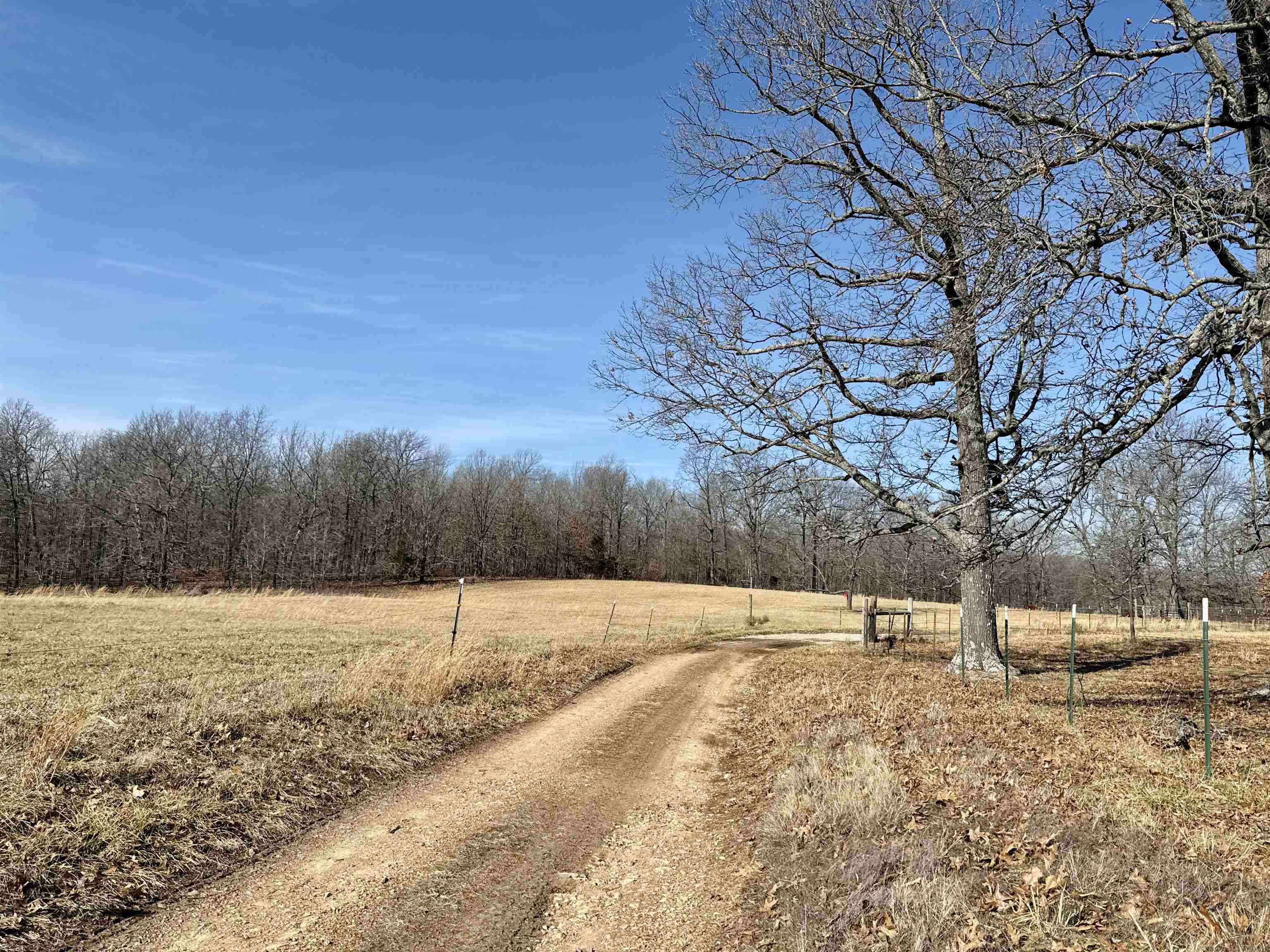 7738 P Highway Highway Koshkonong, MO 65692-7669