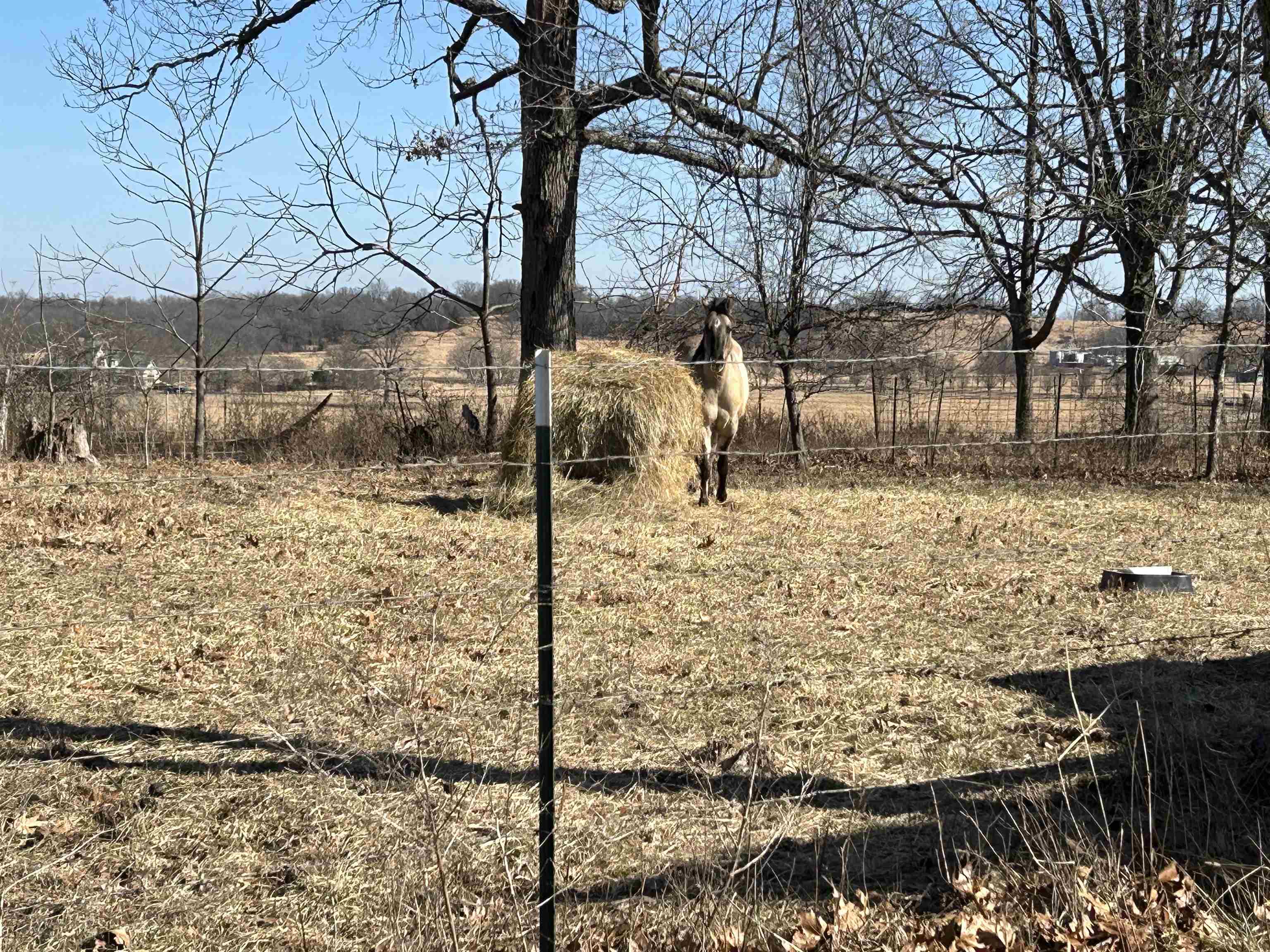 7738 P Highway Highway Koshkonong, MO 65692-7669