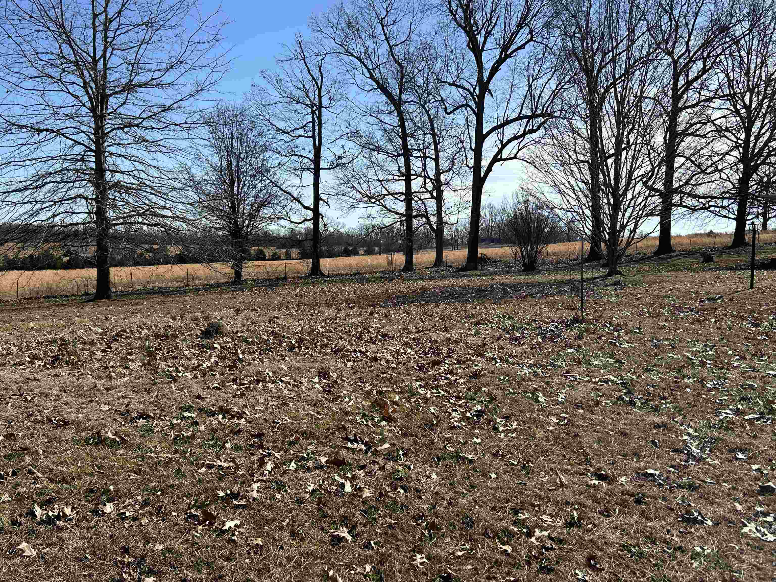 7738 P Highway Highway Koshkonong, MO 65692-7669
