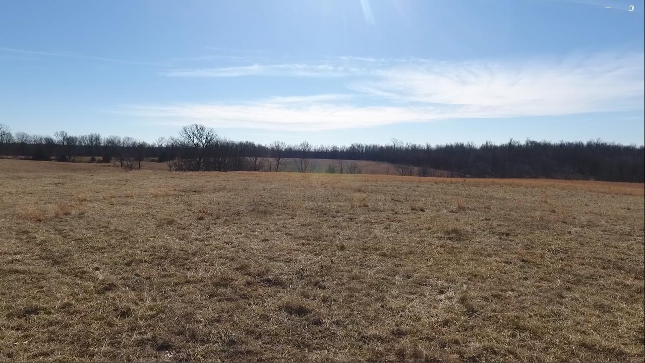 7738 P Highway Highway Koshkonong, MO 65692-7669