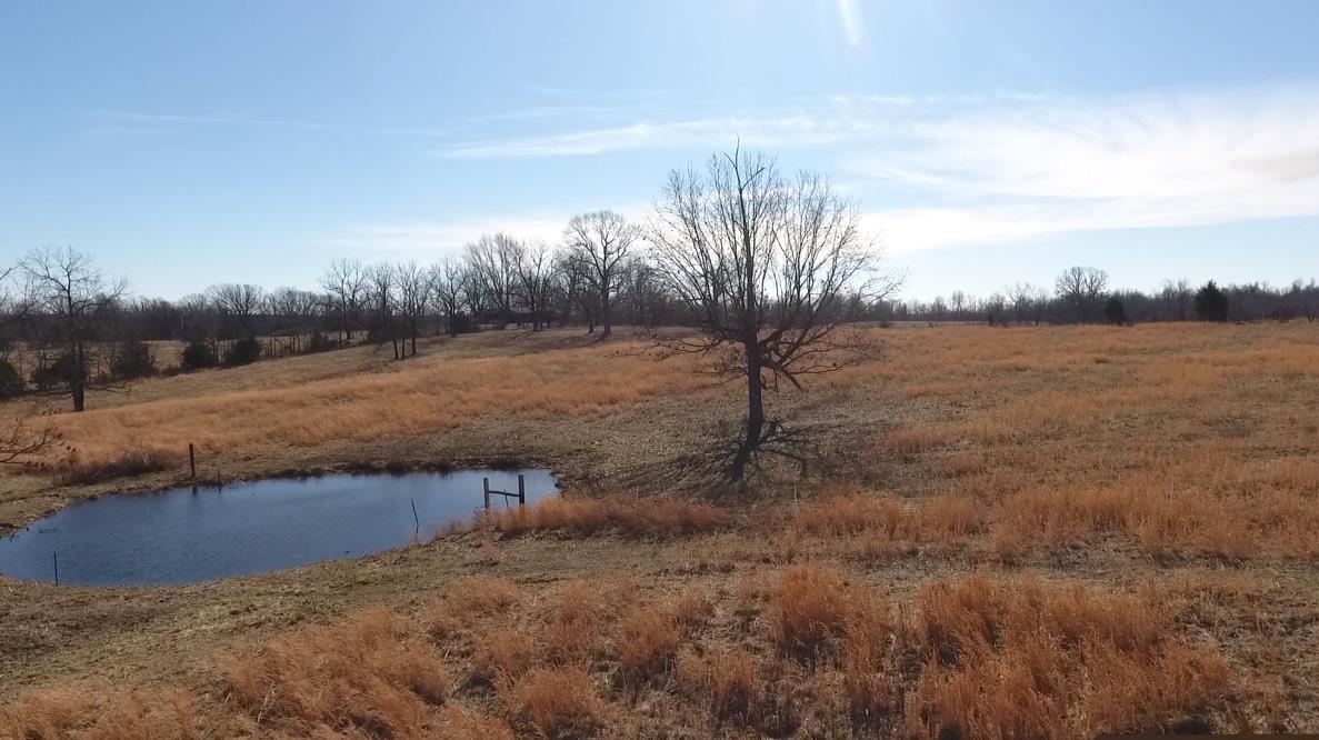 7738 P Highway Highway Koshkonong, MO 65692-7669