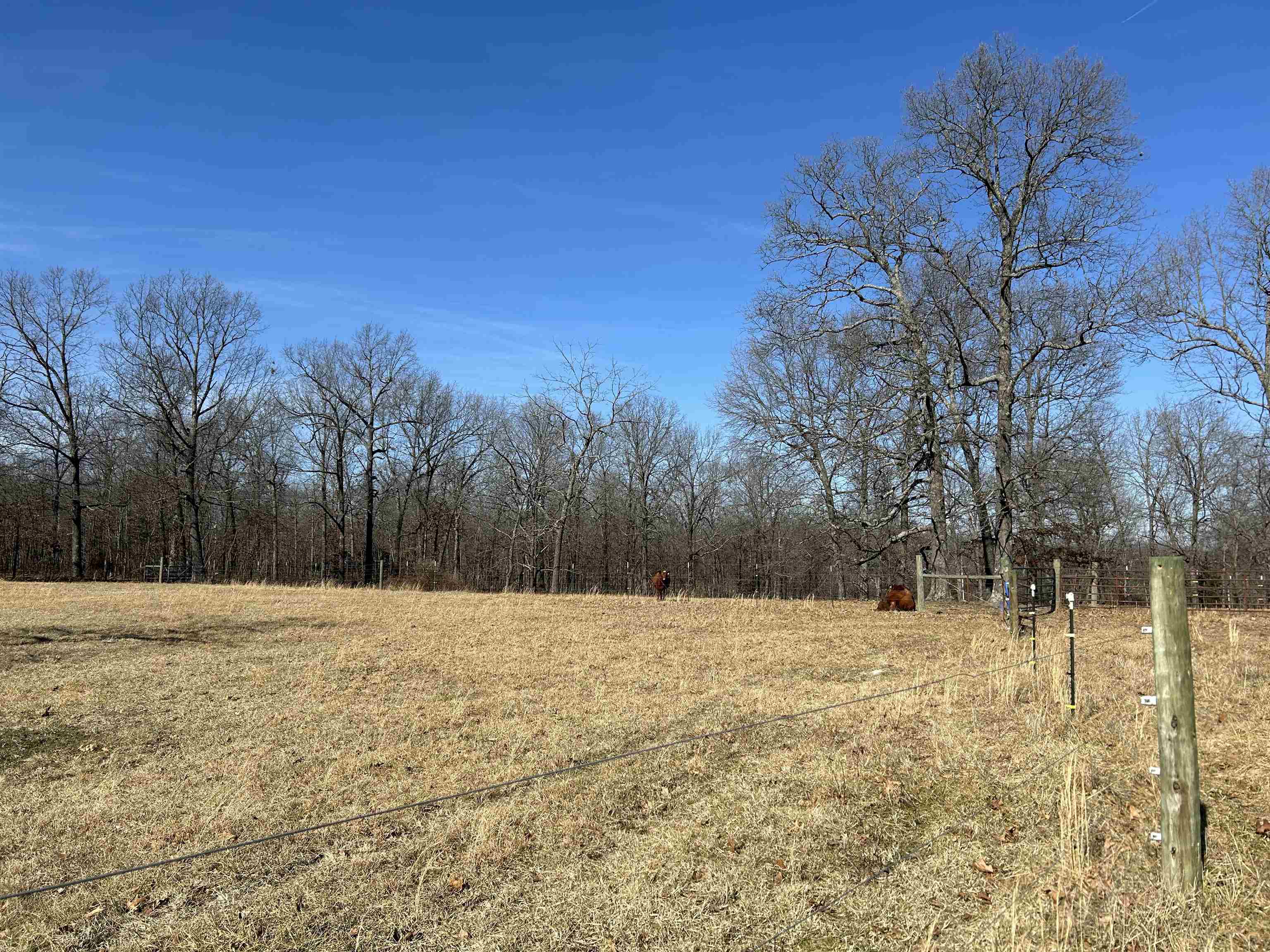 7738 P Highway Highway Koshkonong, MO 65692-7669
