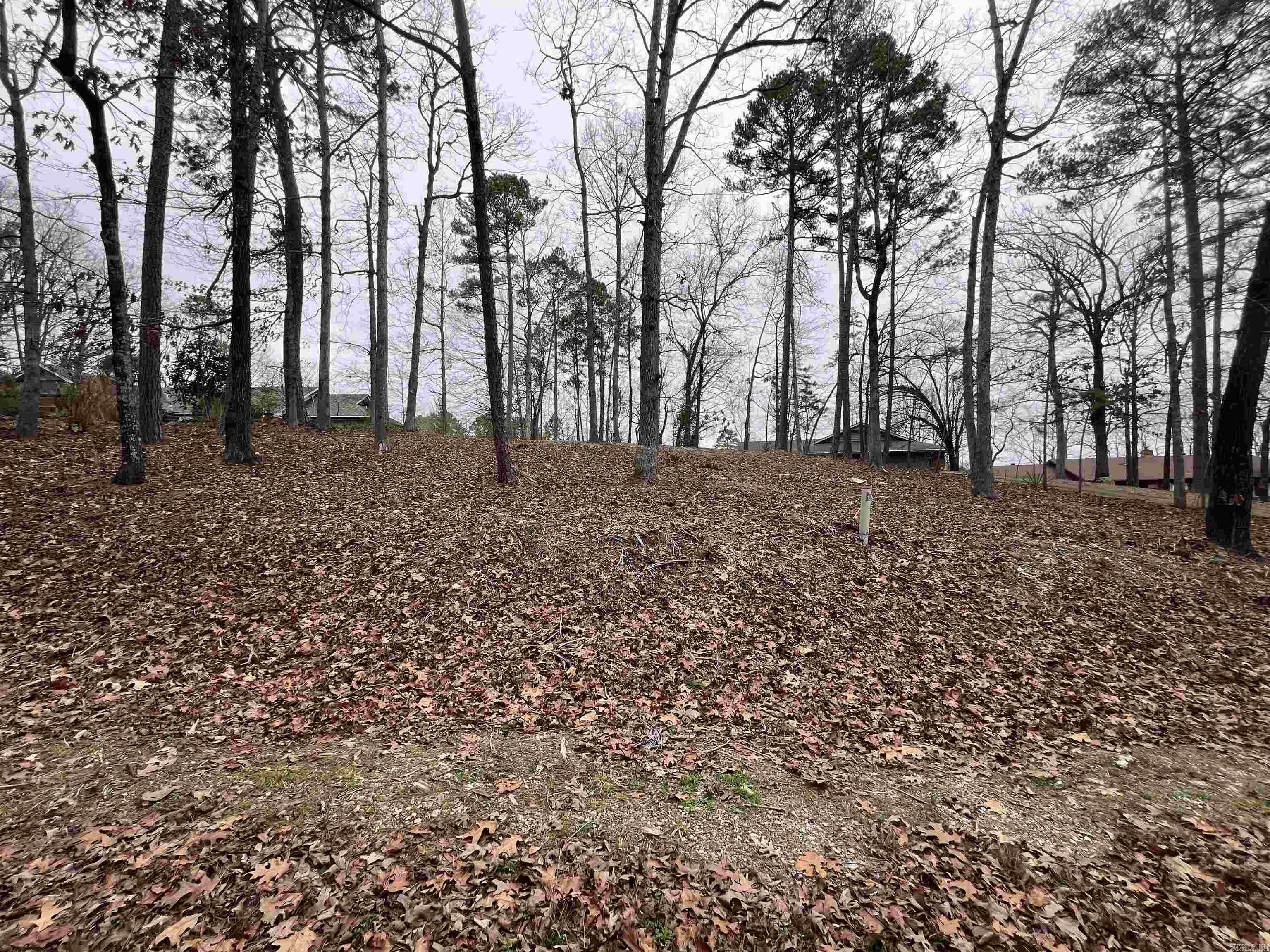 5  Gaza Lane  Hot Springs Village, AR