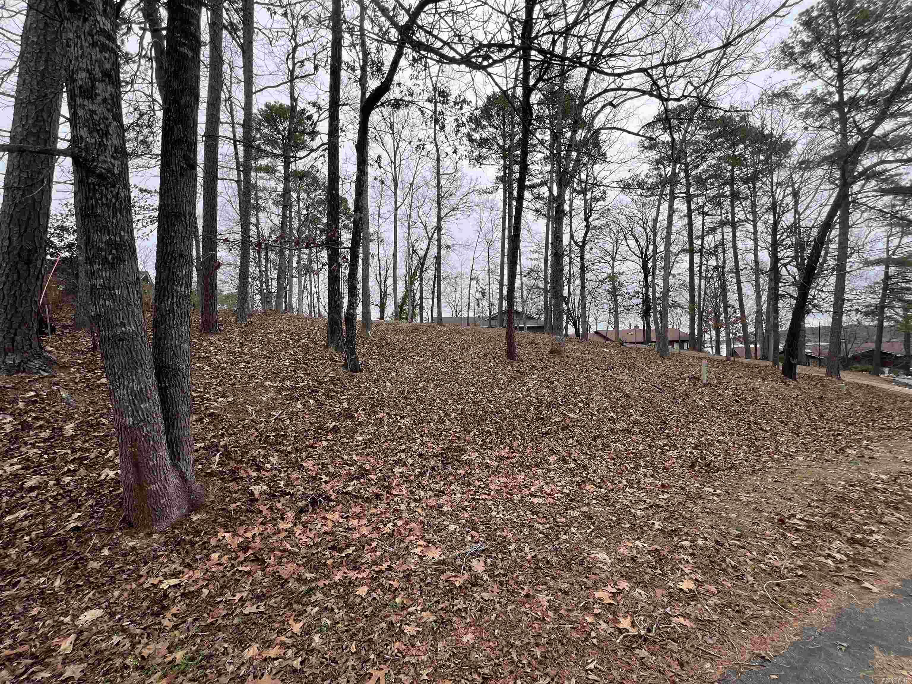 5  Gaza Lane  Hot Springs Village, AR