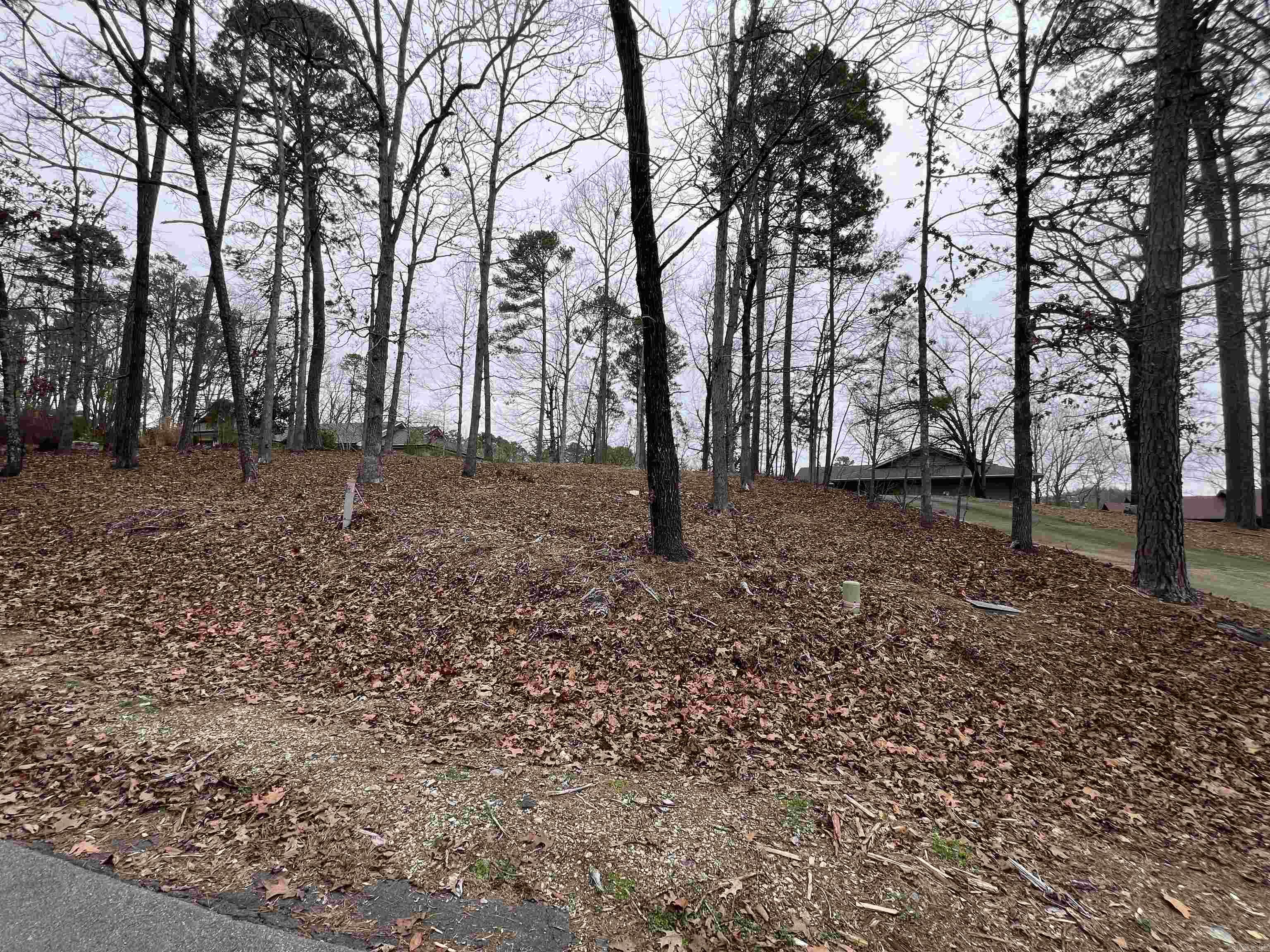 5  Gaza Lane  Hot Springs Village, AR