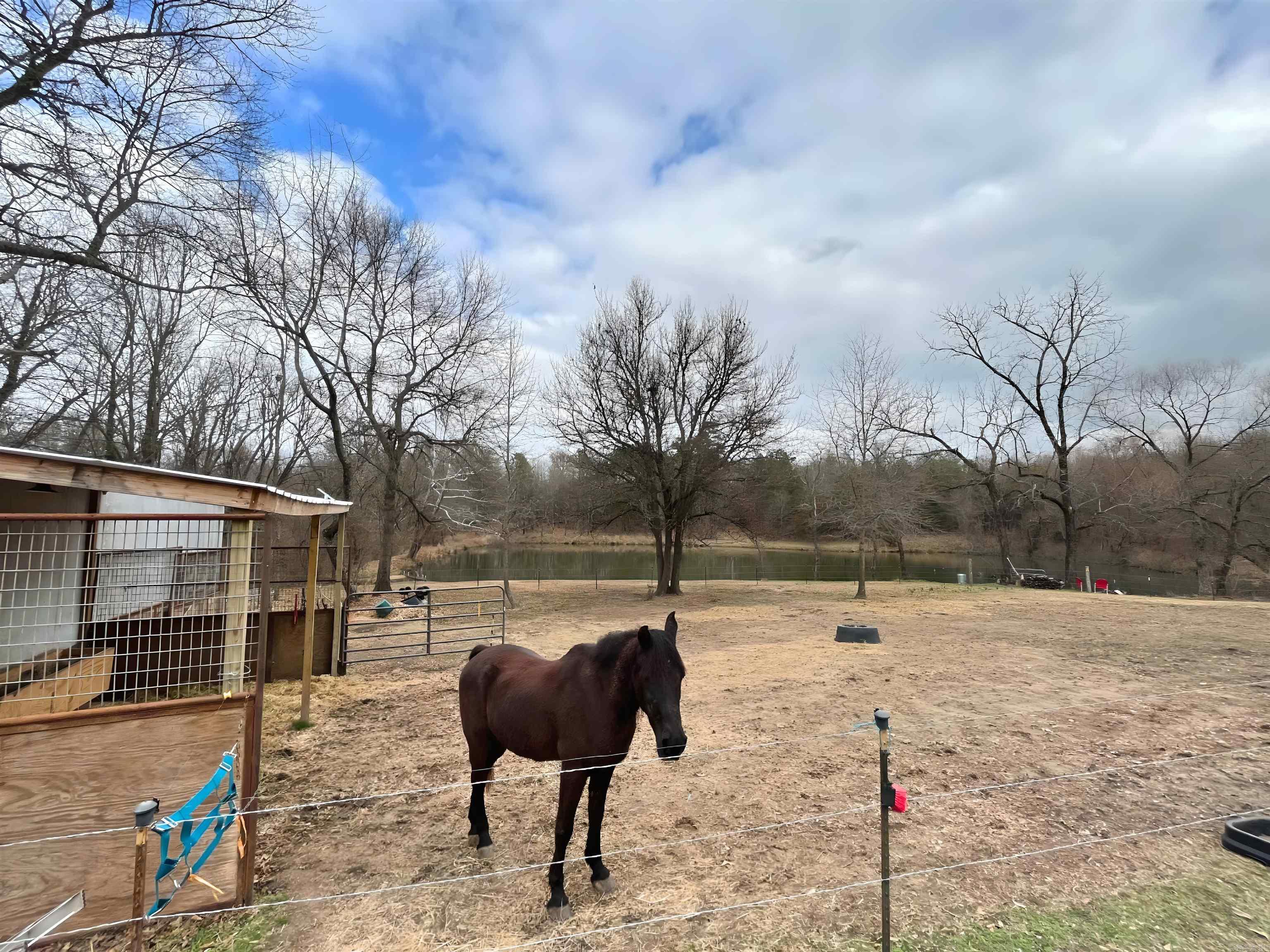 6067  Hwy 71 S  Cove, AR