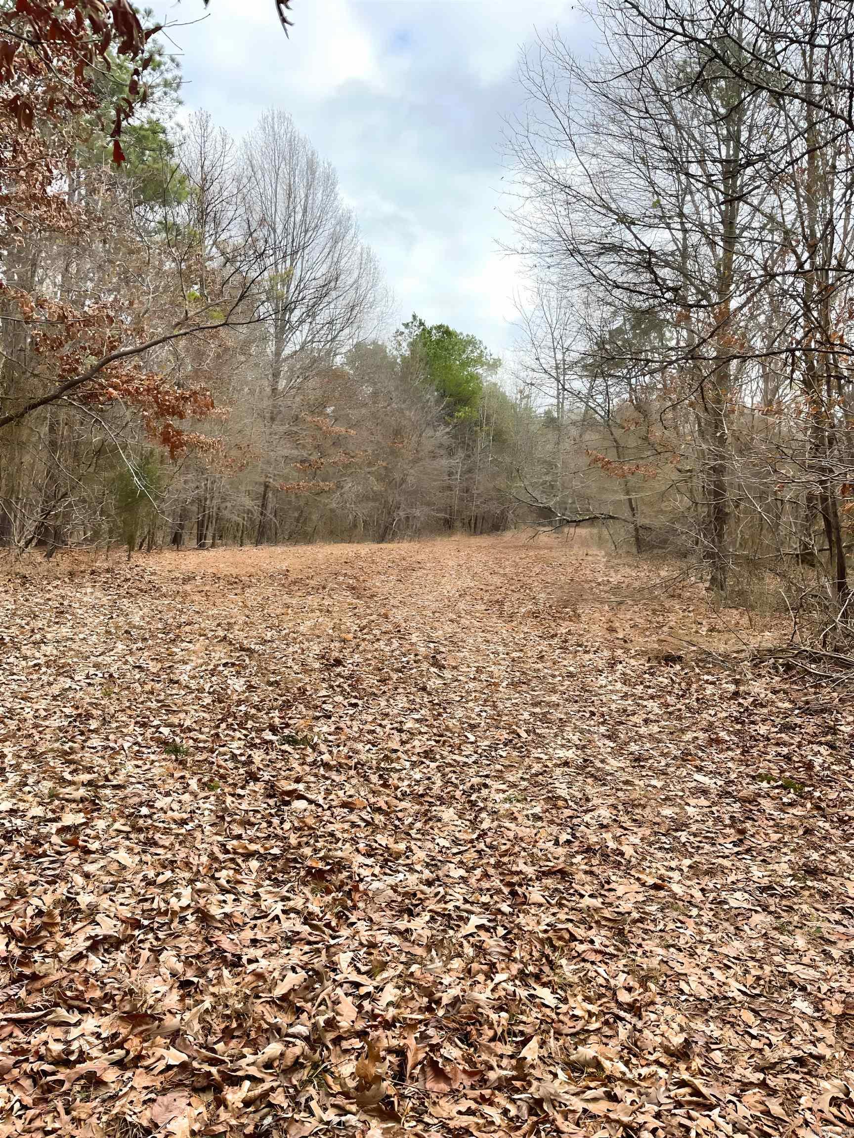 6067  Hwy 71 S  Cove, AR