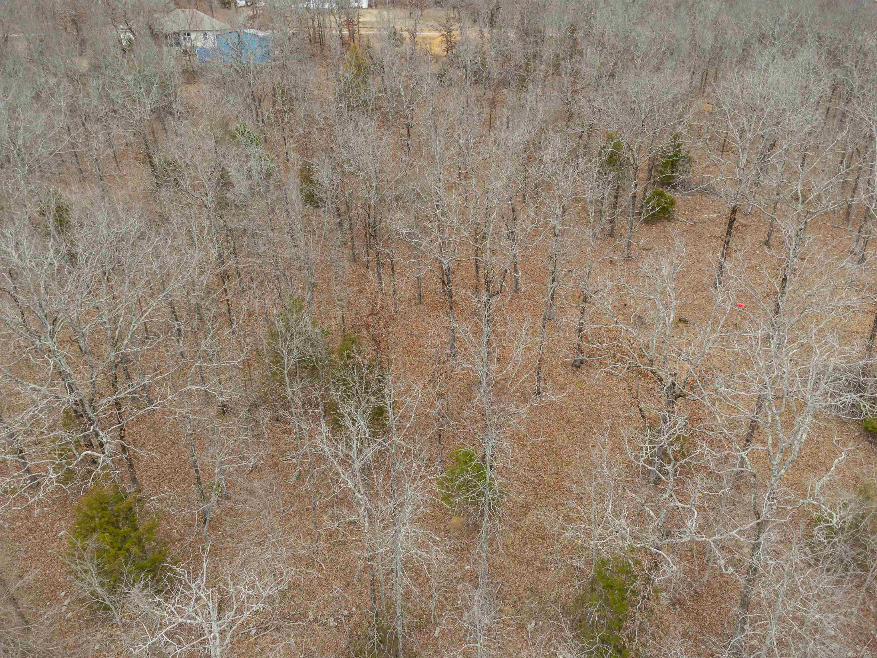 14  Vista Trl  Jacksonville, AR